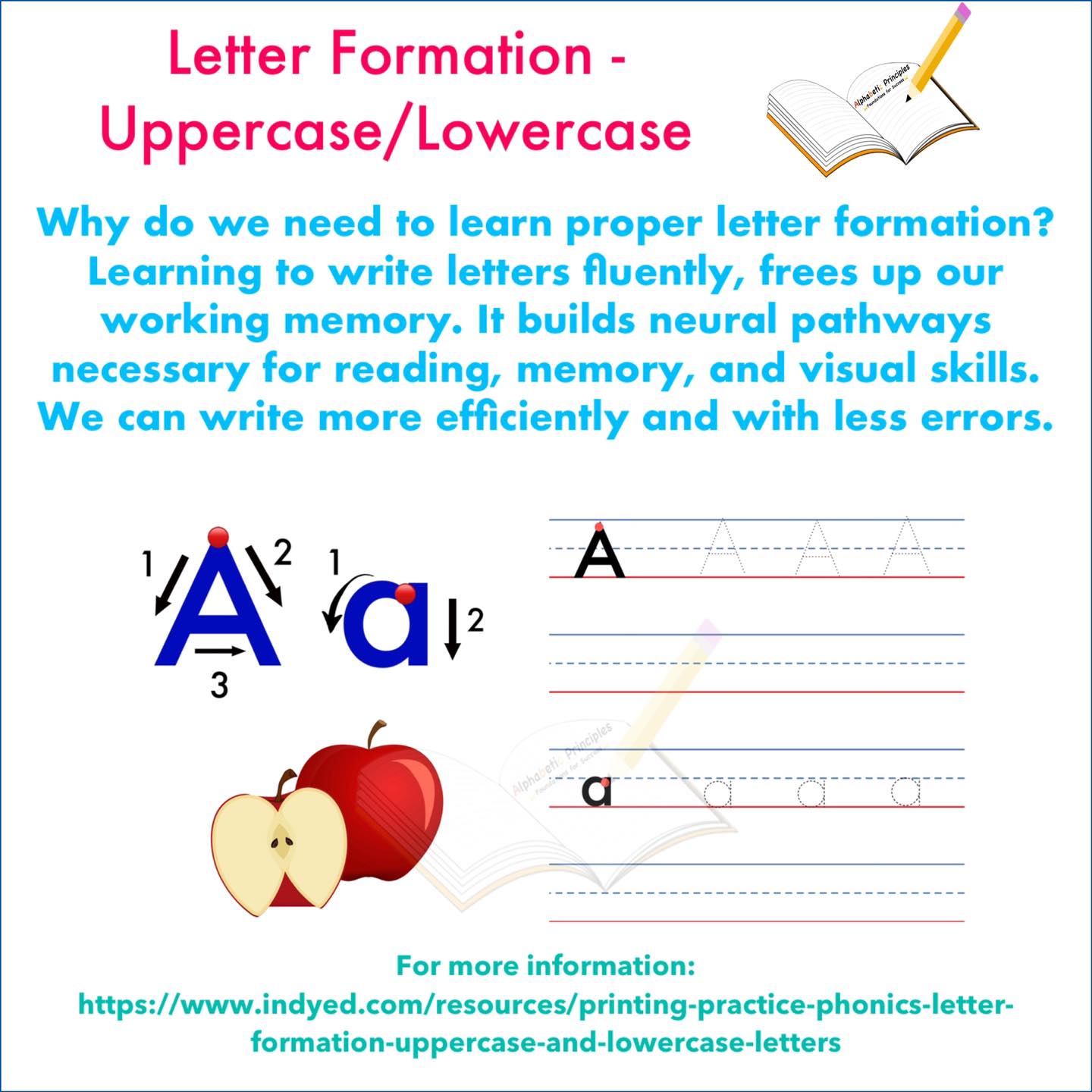 The Importance of Proper Letter... - Alphabetic Principles