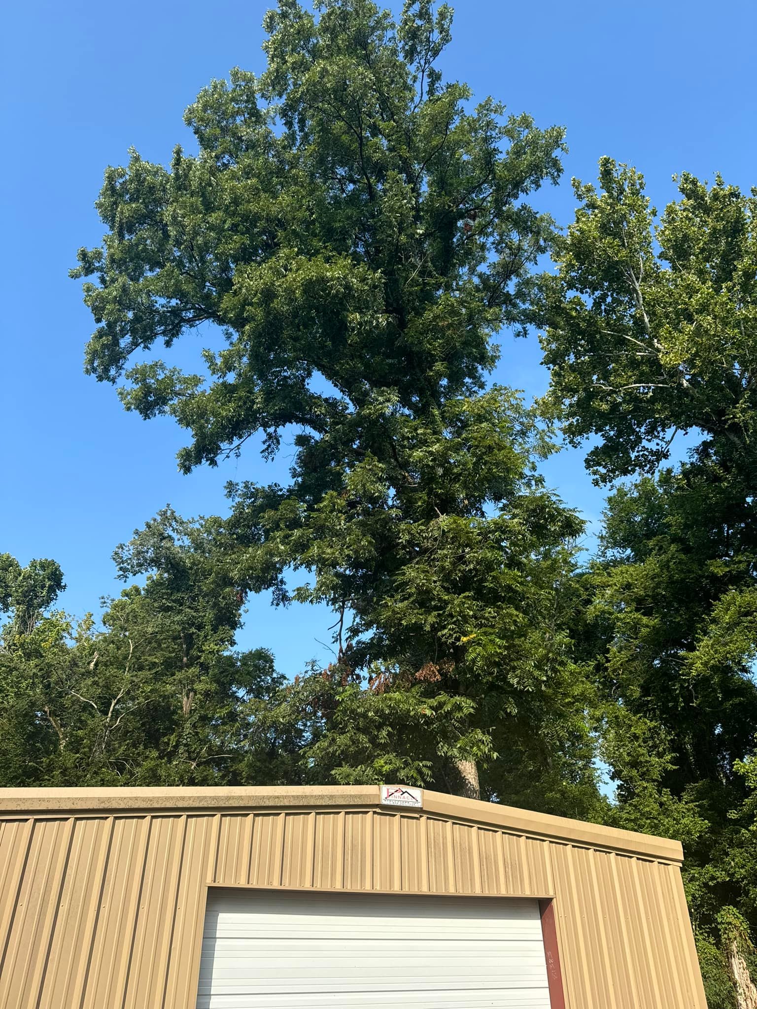 Trees R Us LLC