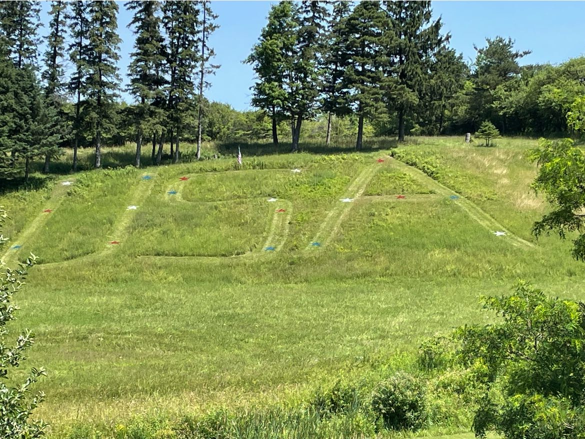 Locust Ridge Tree Farm | Attica NY