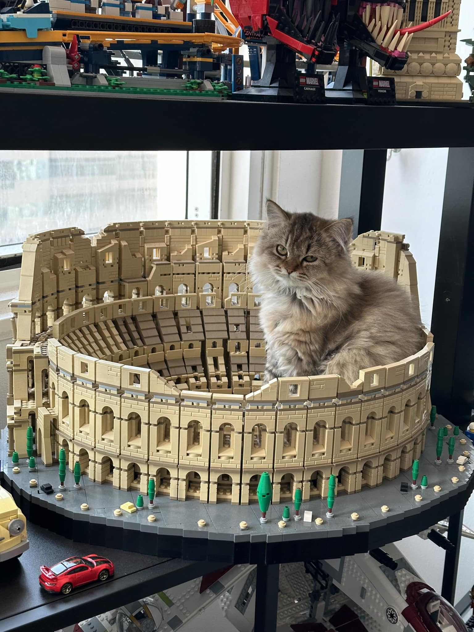 Kitty in the Colosseum via Yaseen Allan