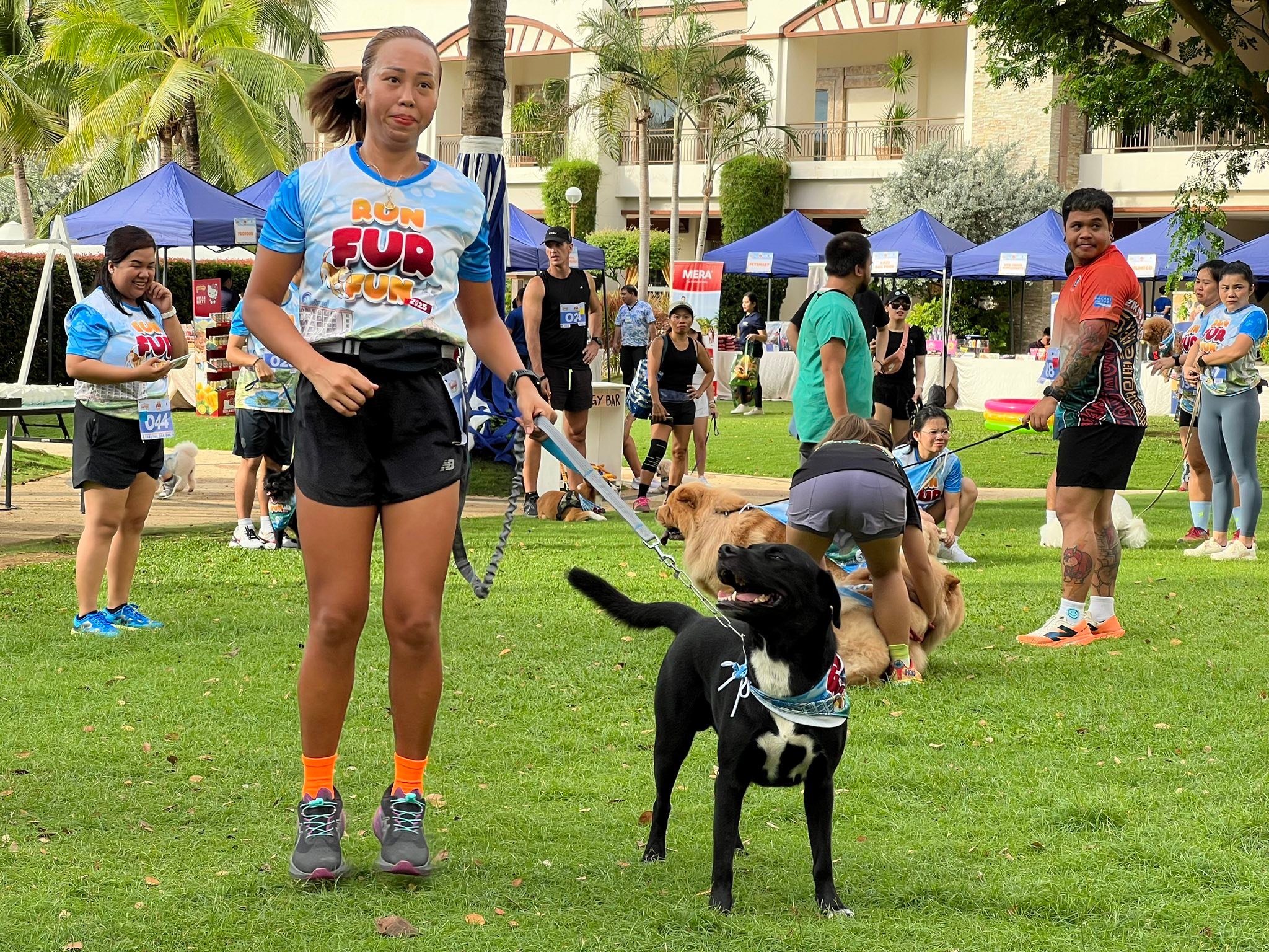 The Freeman - LOOK: Fur-riffic Day for Pets as Jpark Opens Its Doors to ...