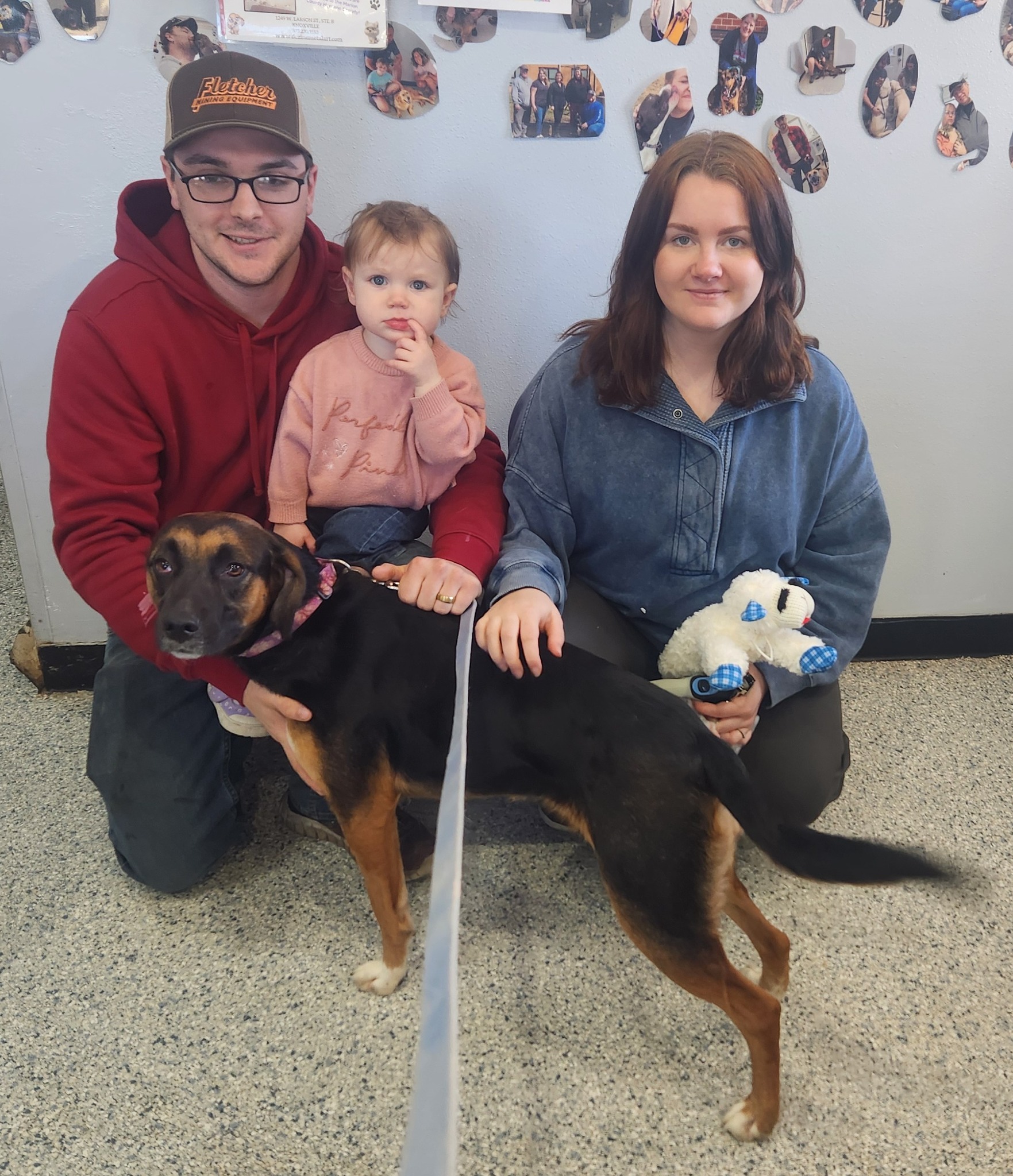 Marion County Humane Society - Knoxville, Iowa | Knoxville IA