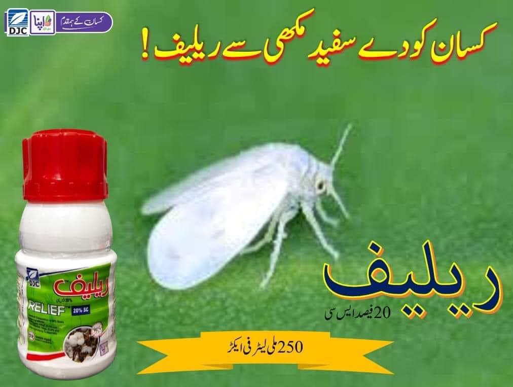 DJC Ali Akbar Group Arifwala - #Rice #AliAkbarGroup #Djc # ...