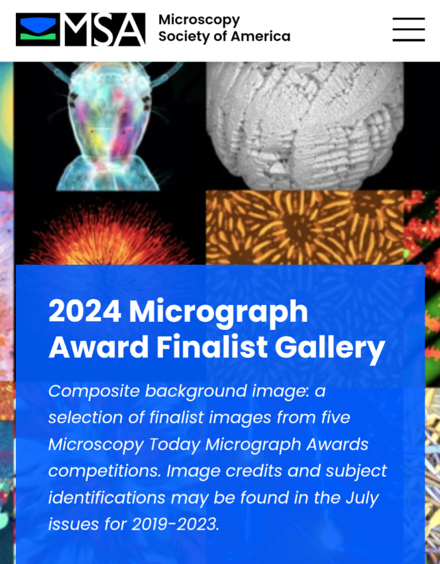 Microscopy Today