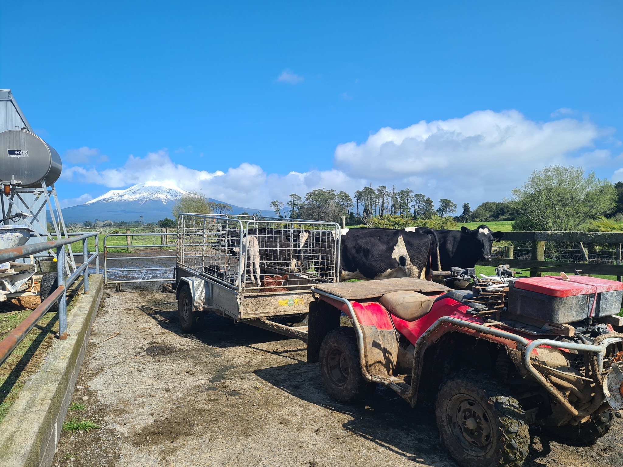 Stream Enterprise Limited | Hawera