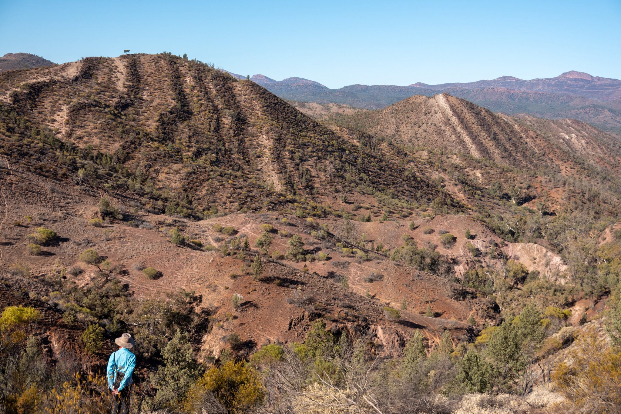 Canberra - Flinders Ranges - a not too late trip report In May the club ...