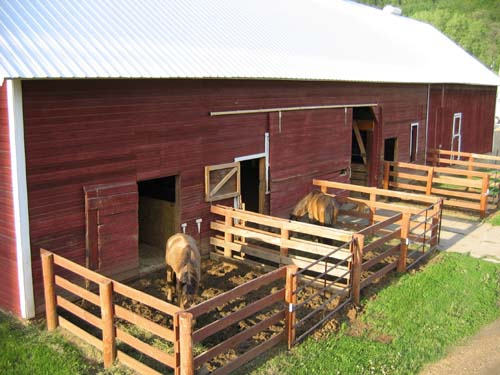 Outback Ranch Inc. | Houston MN