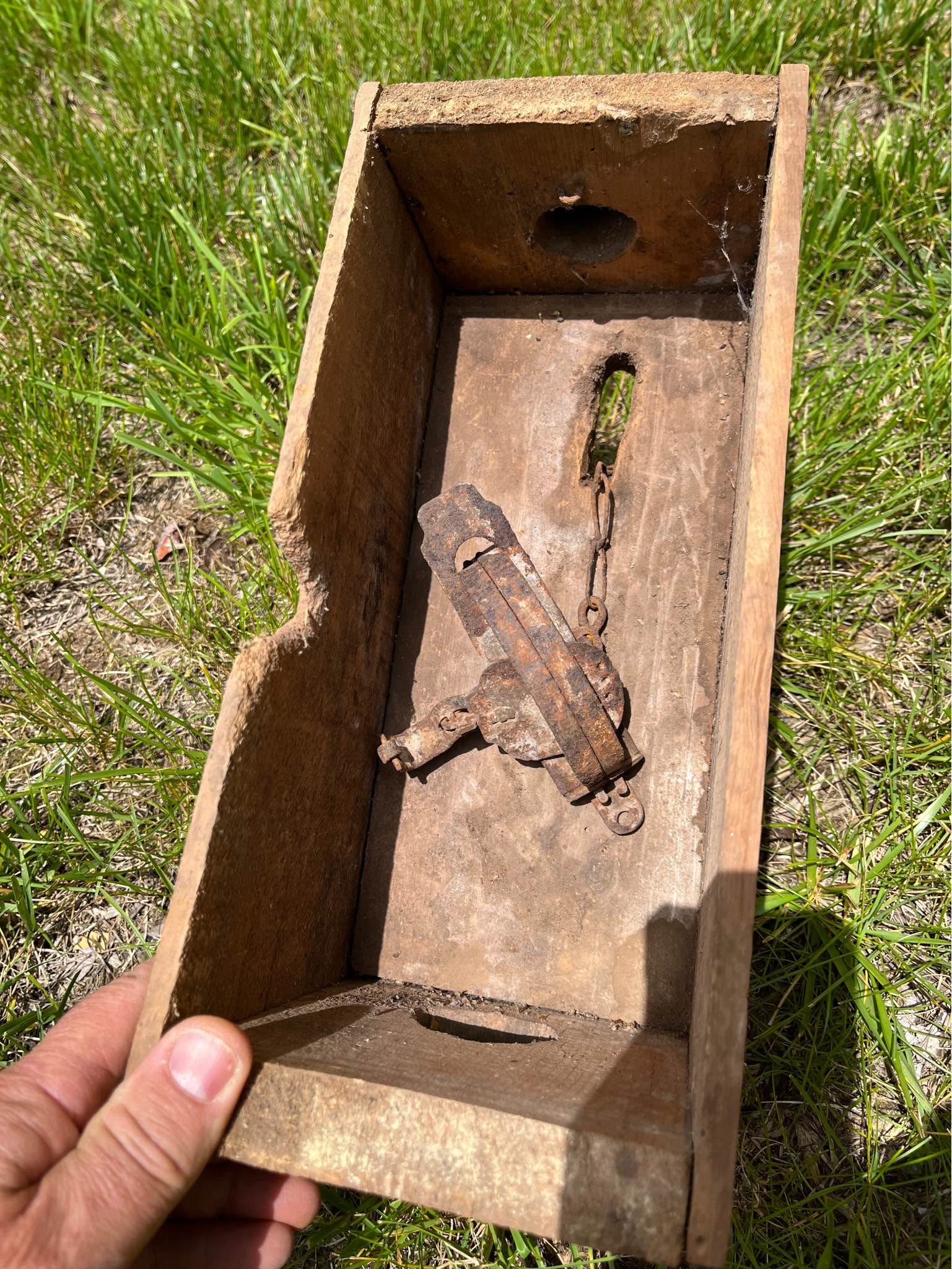 Vintage trappers weasel box and trap or unique bird box - Birdhouses ...