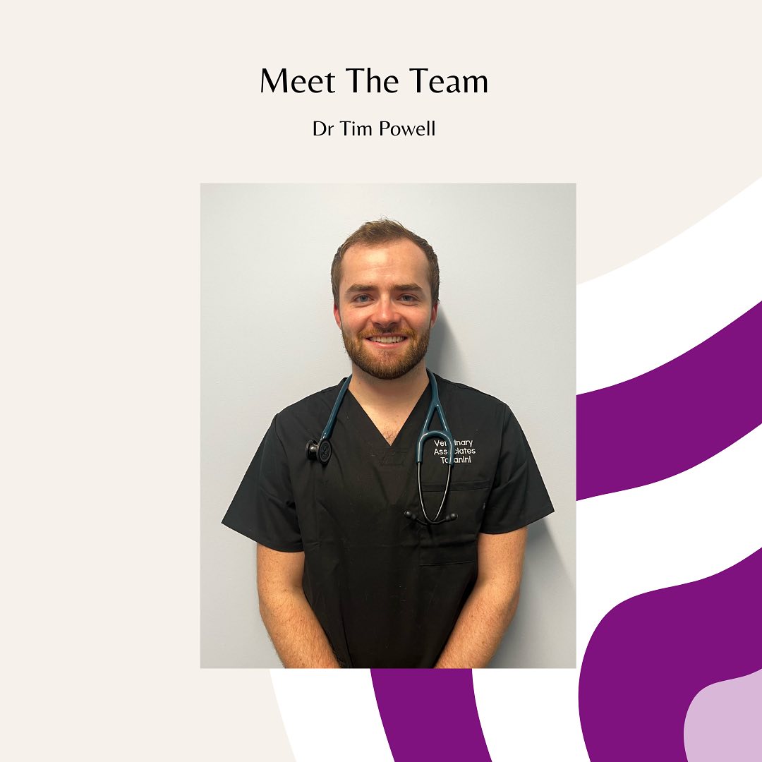 Meet The Team- Dr Tim... - Veterinary Associates Takanini | Facebook
