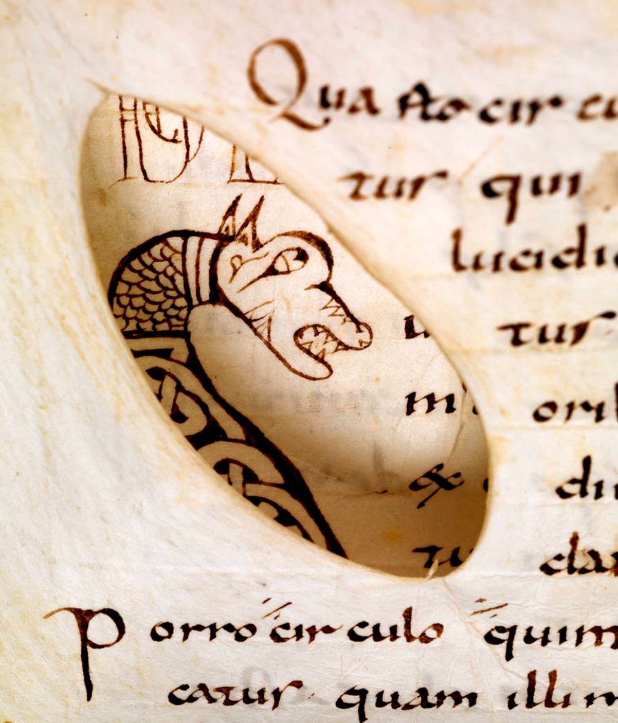 Anglo-Saxon Language & Culture