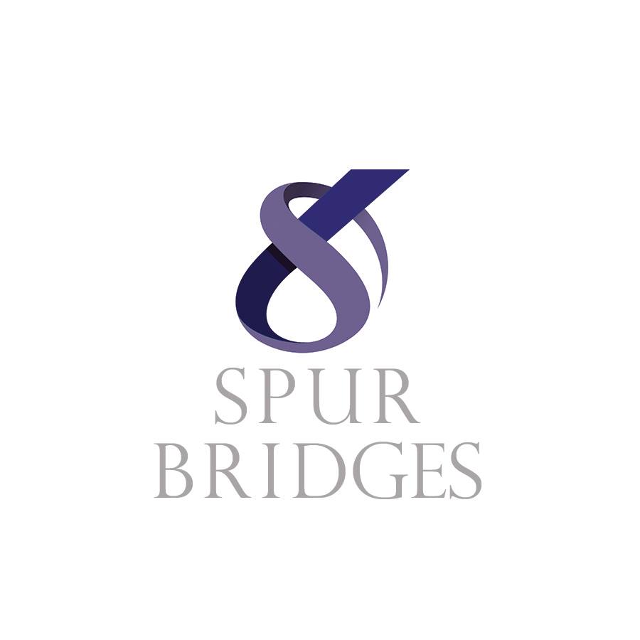 Spur Bridges | Milwaukee WI