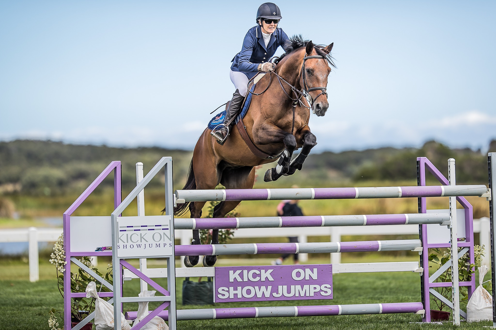 Quality NZ Horses - SOLD in NZ !!! - Super classy Eventing prospect ...