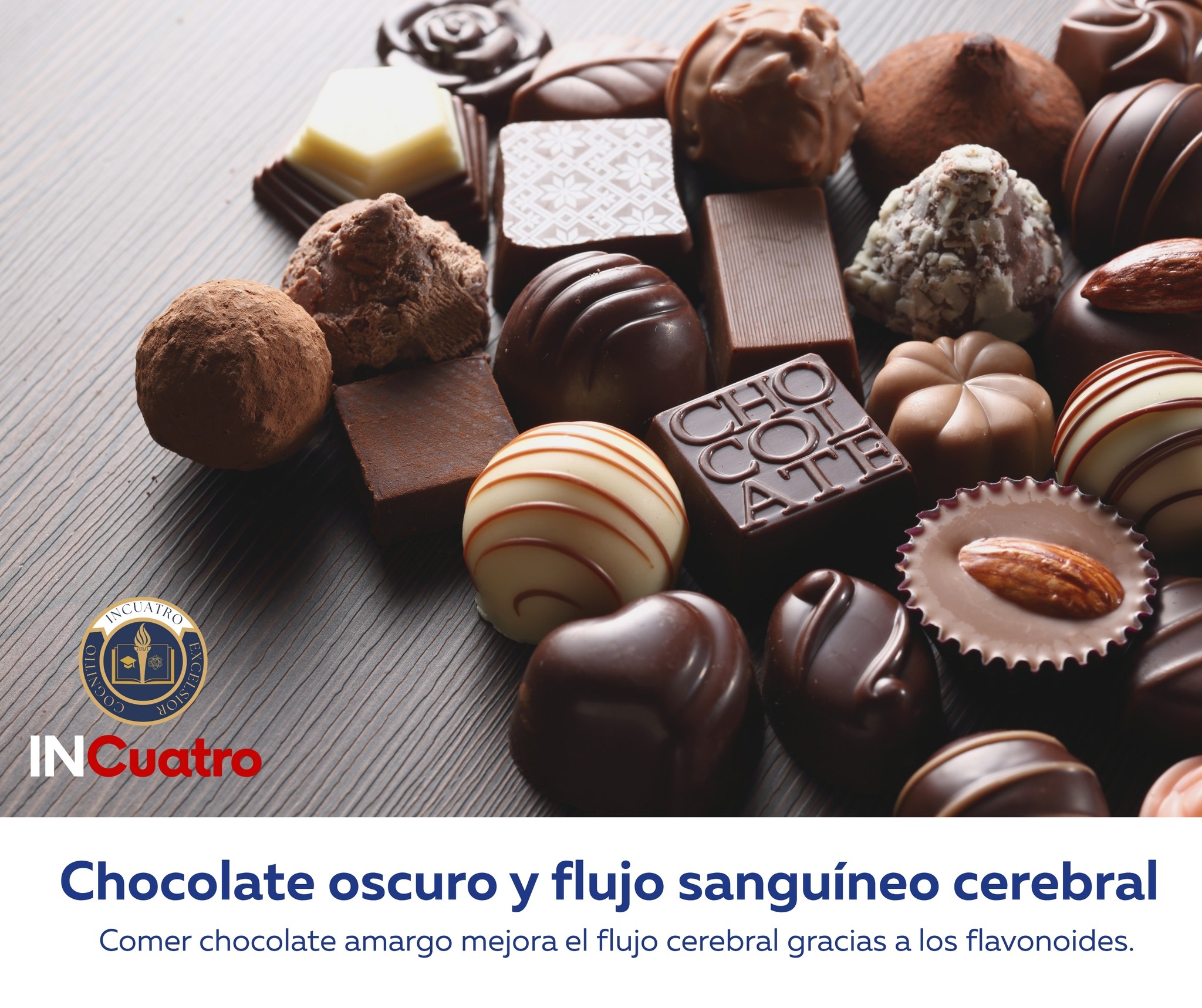 Instituto - 😊CHOCOLATE OSCURO Y FLUJO SANGUÍNEO CEREBRAL😊 El consumo de ...
