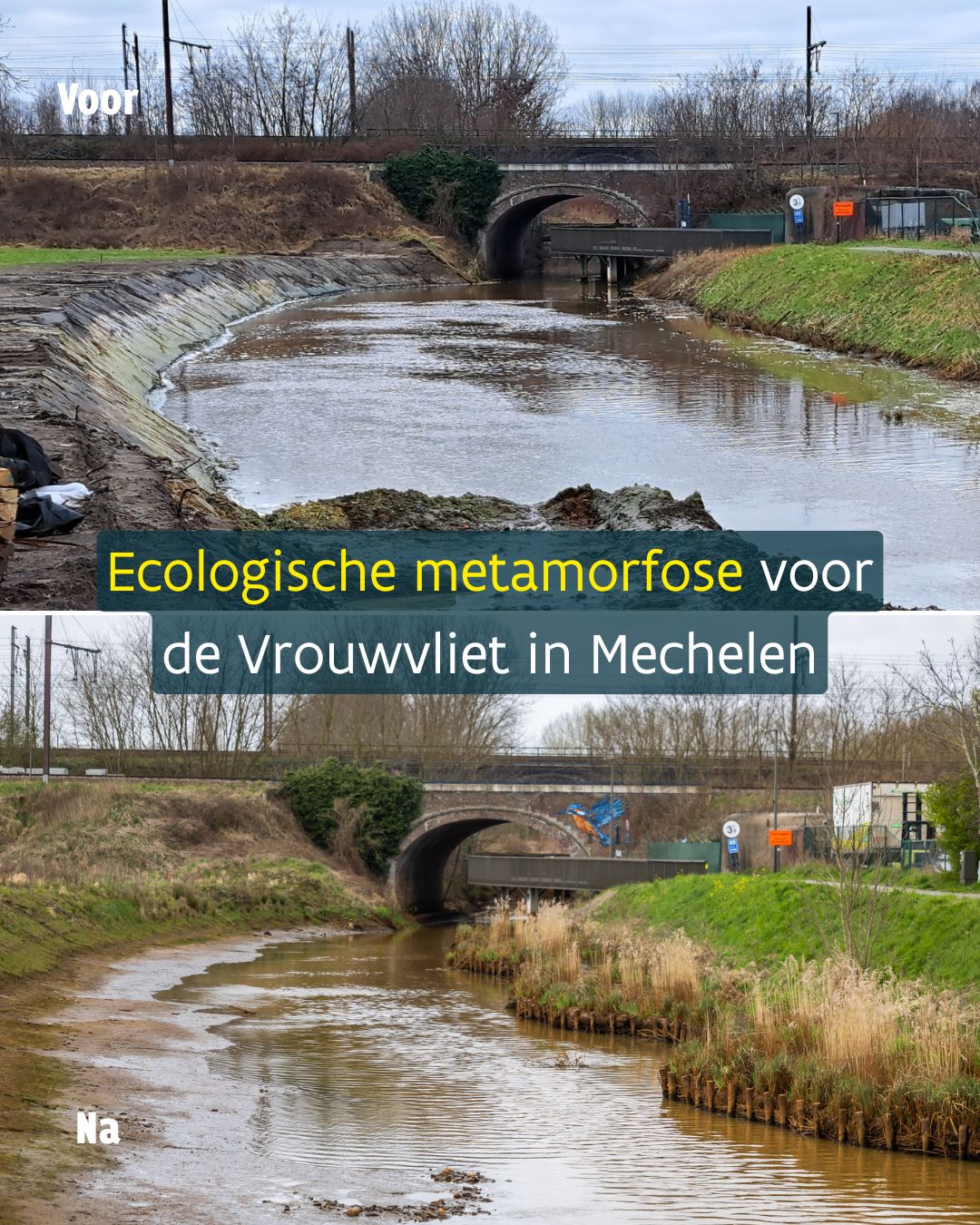 vlaamse-ecologische-metamorfose-van-de-vrouwvliet-de-rivier-de