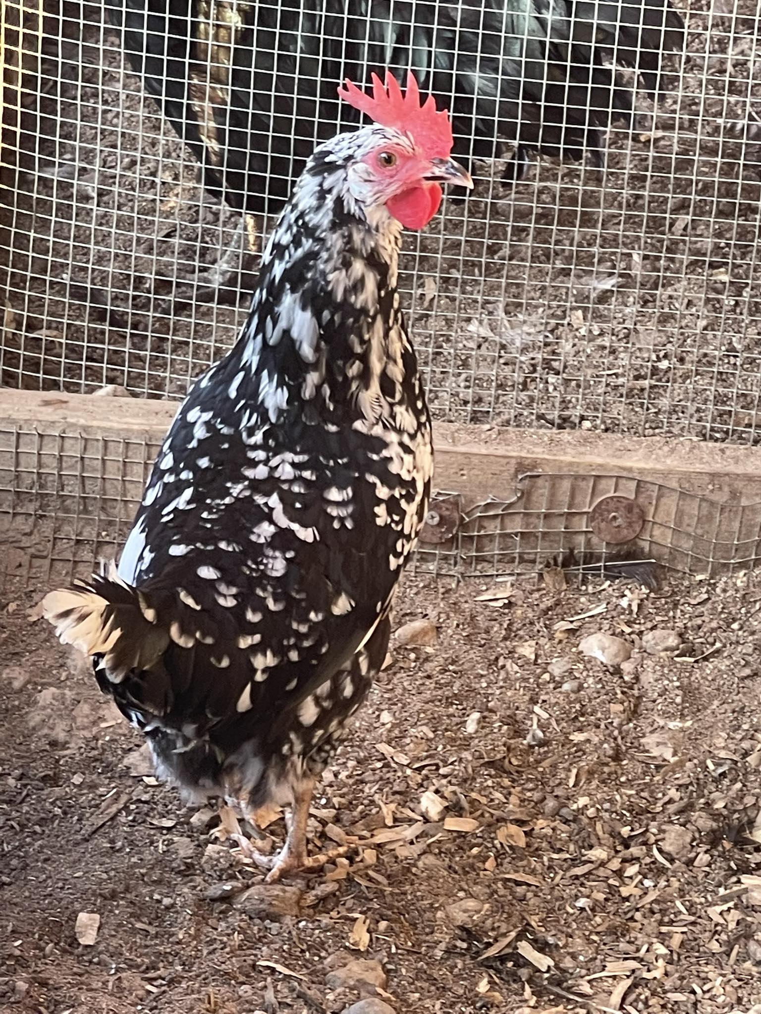 Feather Ridge Farm | Hurricane WV