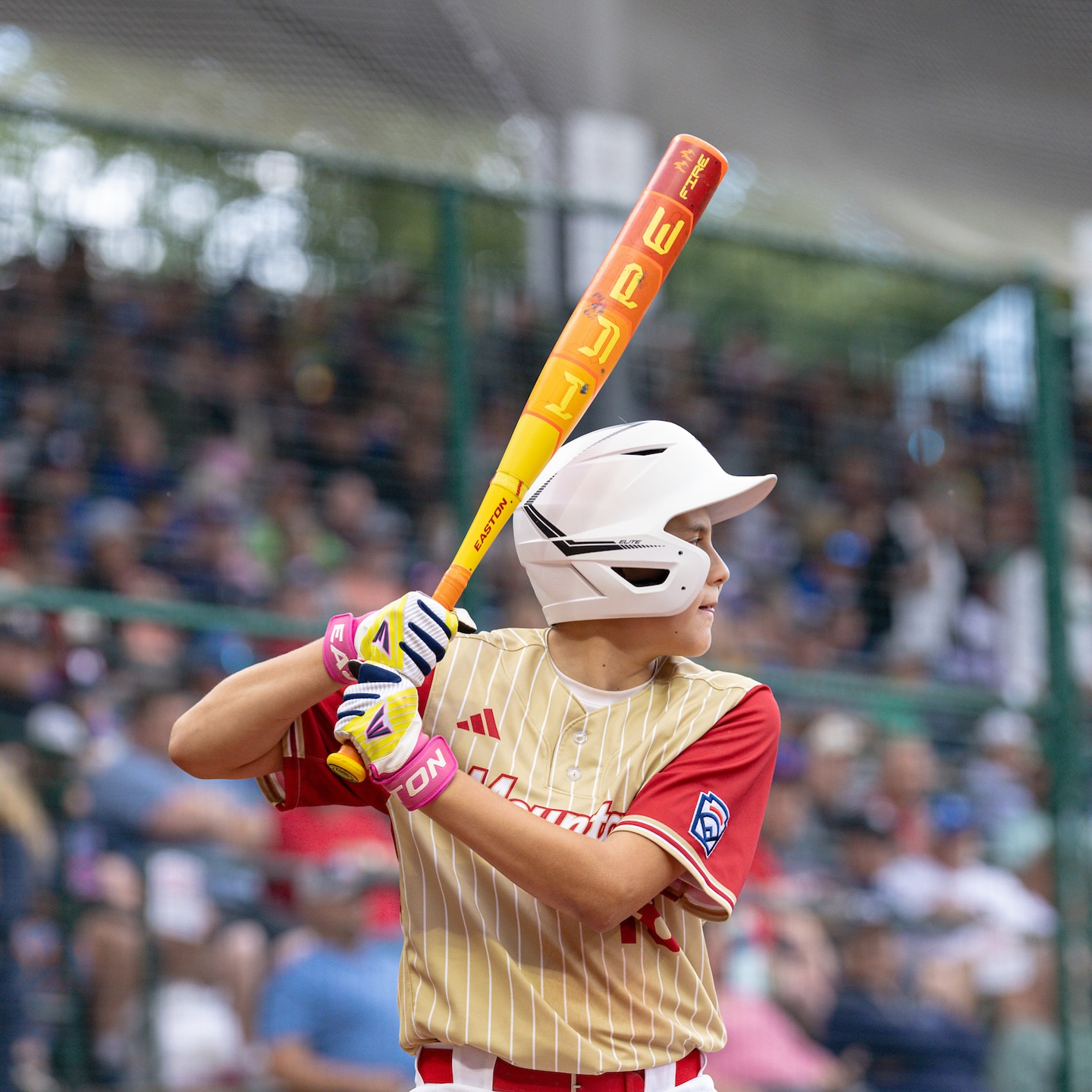 Easton Baseball - Throwback to the 2024 Little League... | Facebook