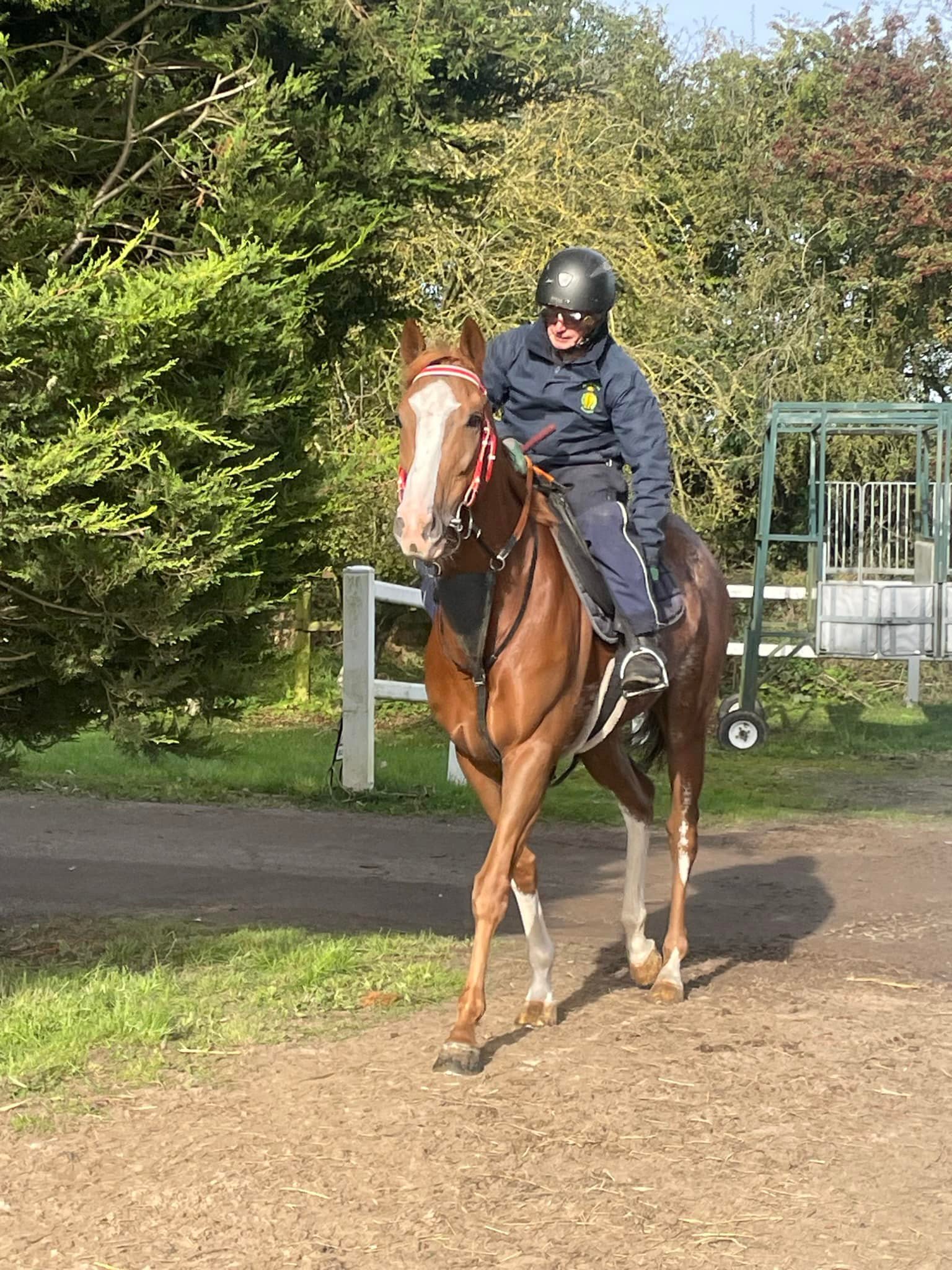 Shawthing Racing Partnership - Derek Shaw | Melton Mowbray