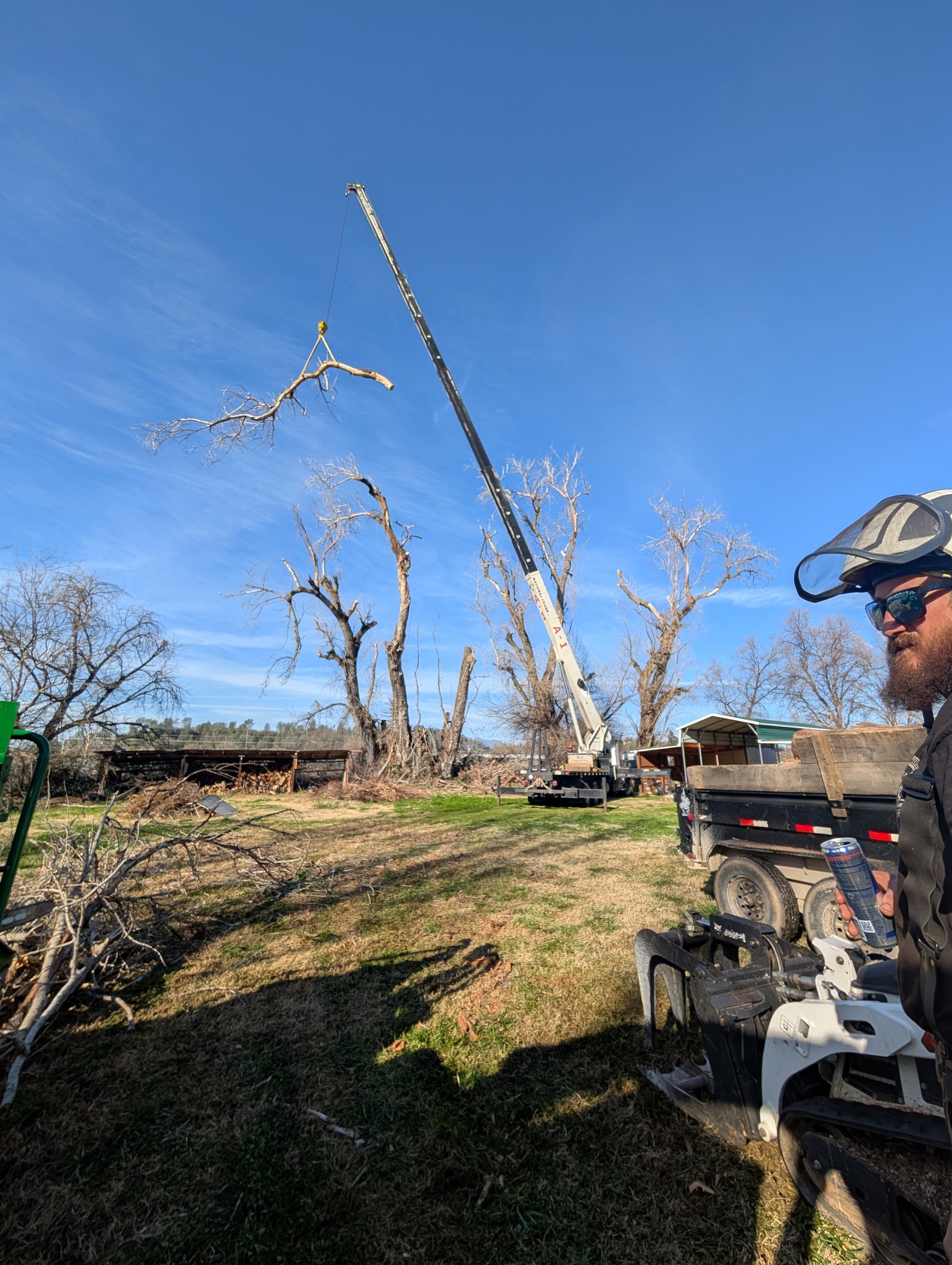 Sierra Vista Vegetation Removal and Tree Service
