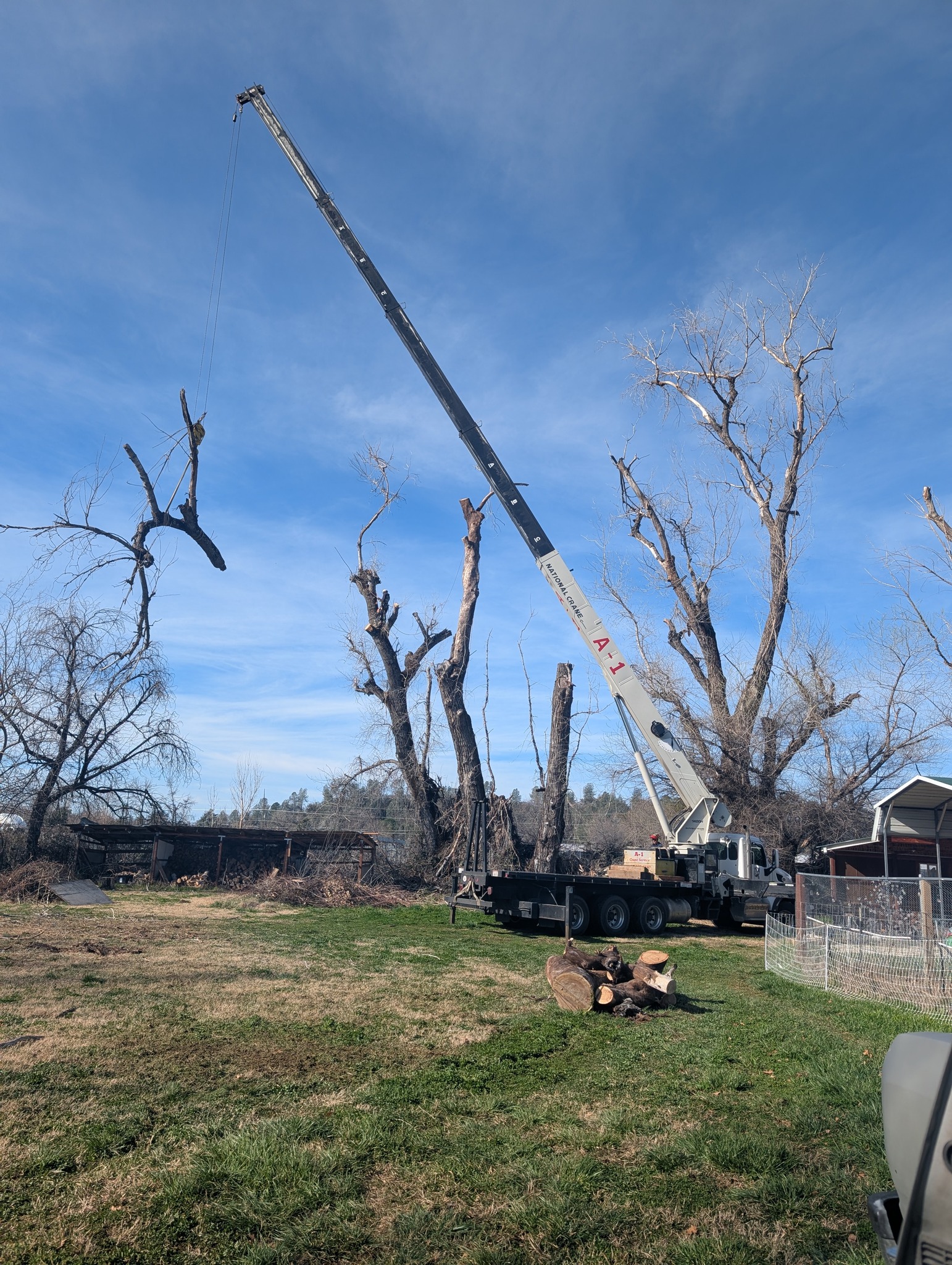 Sierra Vista Vegetation Removal and Tree Service