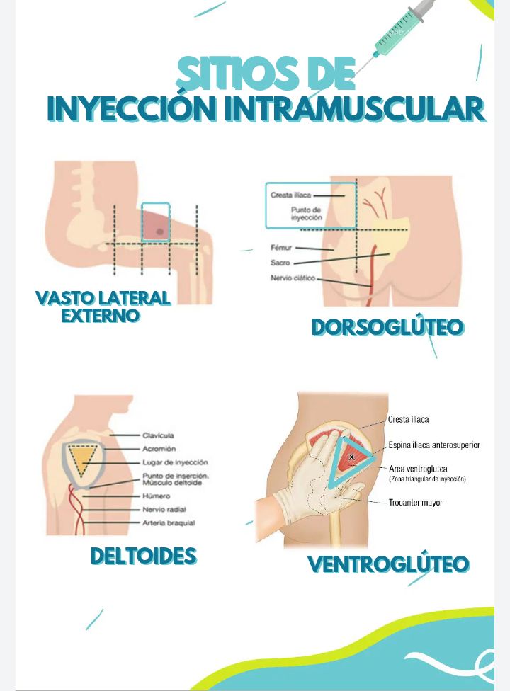 l carnitina dice intramuscular se puede poner subcutaneo ✴️ Diagrama que muestra los sitios sugeridos para Inyecciones múltiples en el Muslo Lateral ✓✓✓✓ ✴️ Pediatría . . Fuente: https://www.health.govt.nz/publication/immunisation-handbook-2017#2.3.6+Infant+vaccination+(vastus+lateralis) Buy 1% Kojic Acid Food supplement form:30 Count Sin Gluten