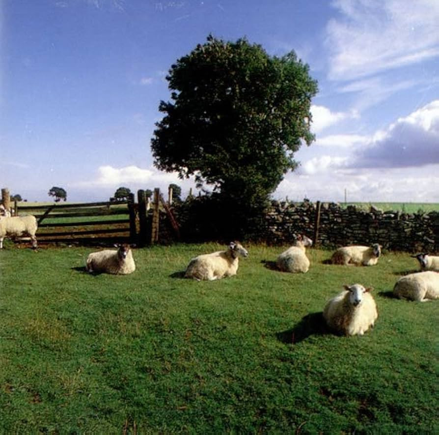 The KLF - Chill Out. File under Ambient.