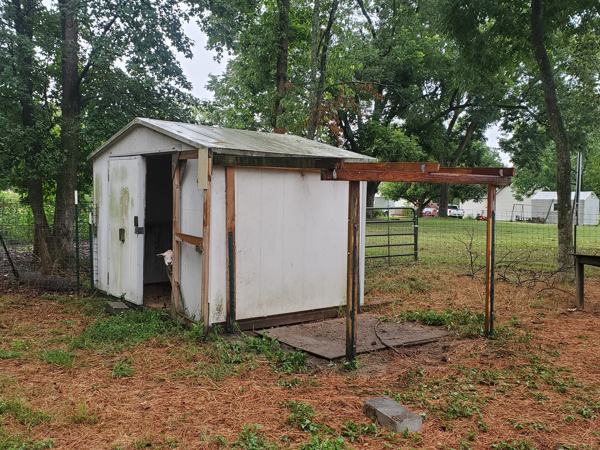 Triple R Farm | Clayton NC