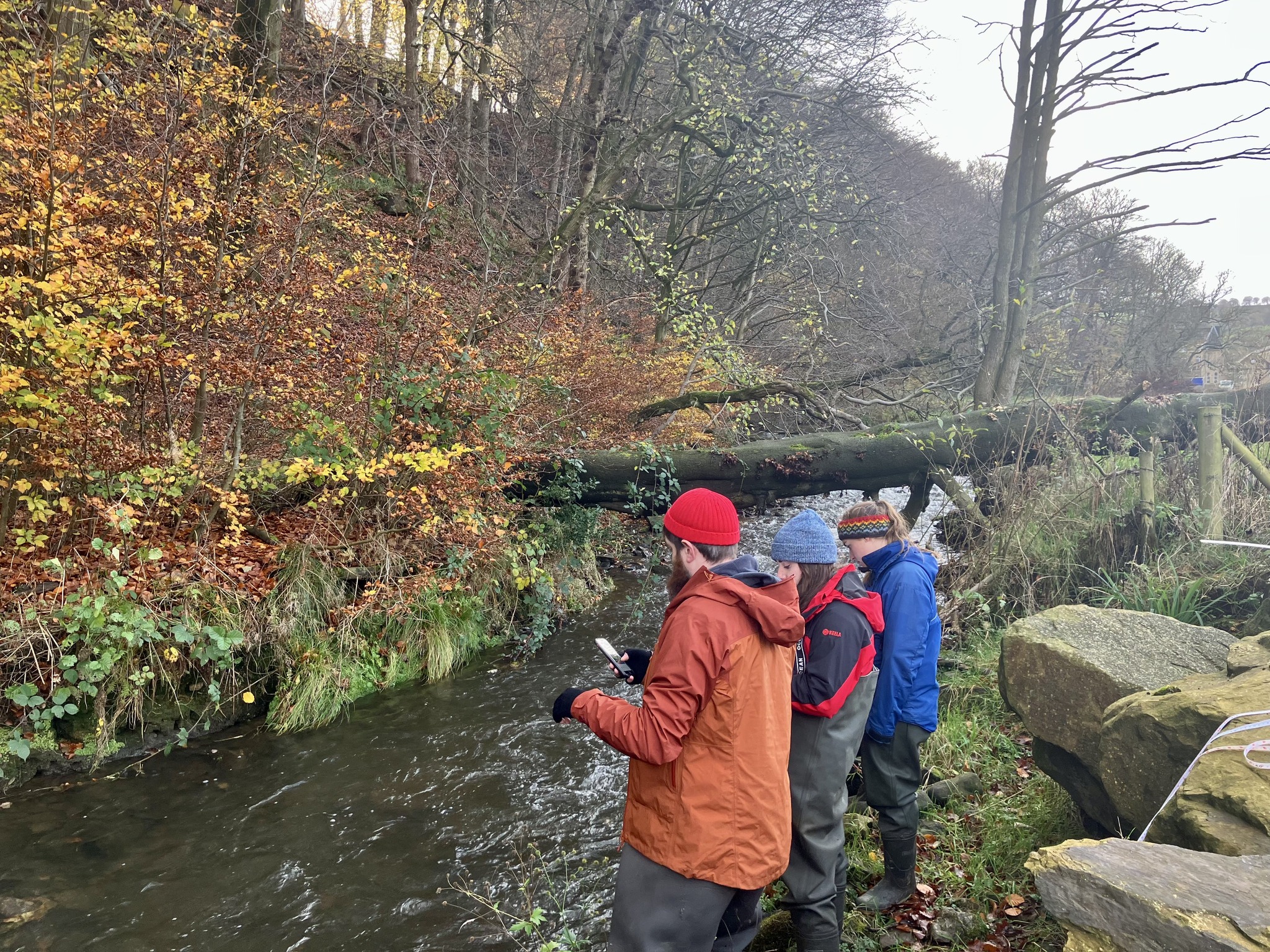 Another day of BNG surveying... - Calder Rivers Trust | Facebook
