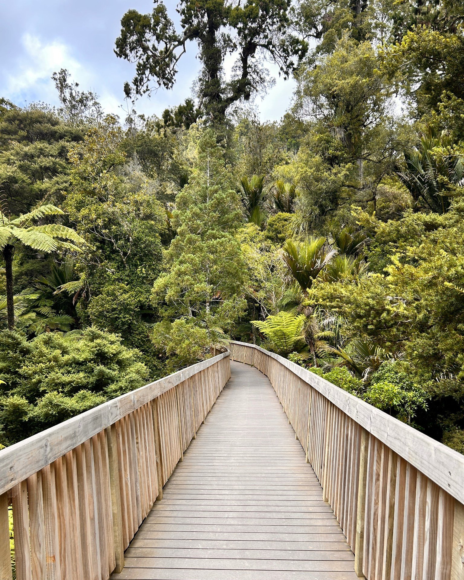New - Looking for Auckland walk ideas? 👟🌿🥪 The Montana Heritage Trail ...
