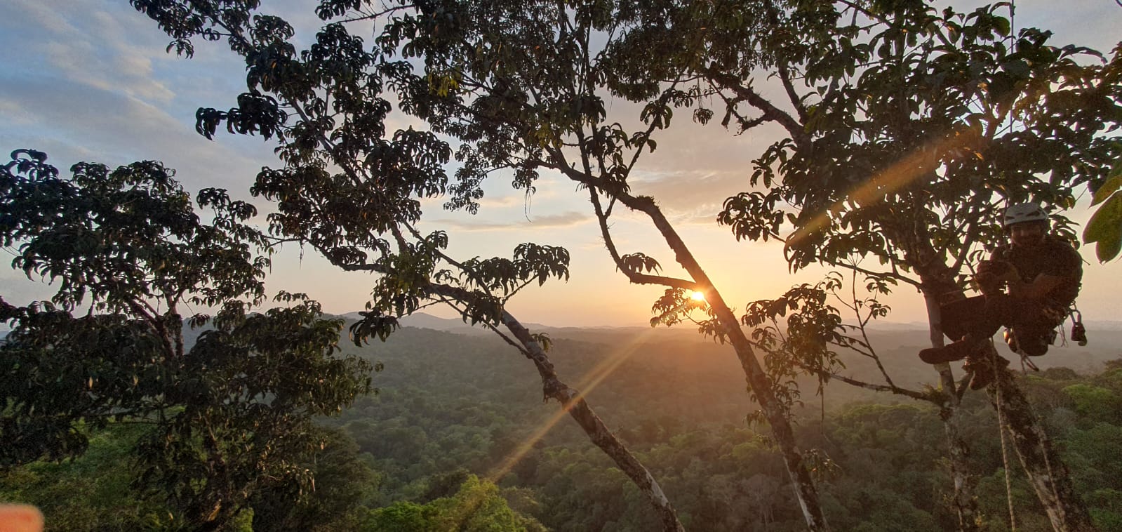 Parc amazonien... - Parc amazonien de Guyane, Parc national