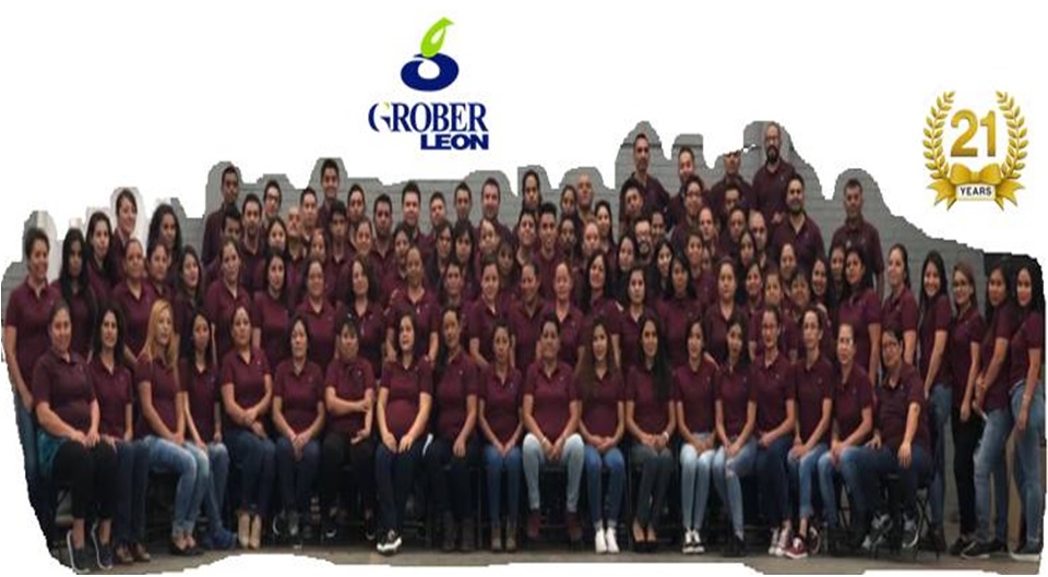 Grober León Recursos Humanos