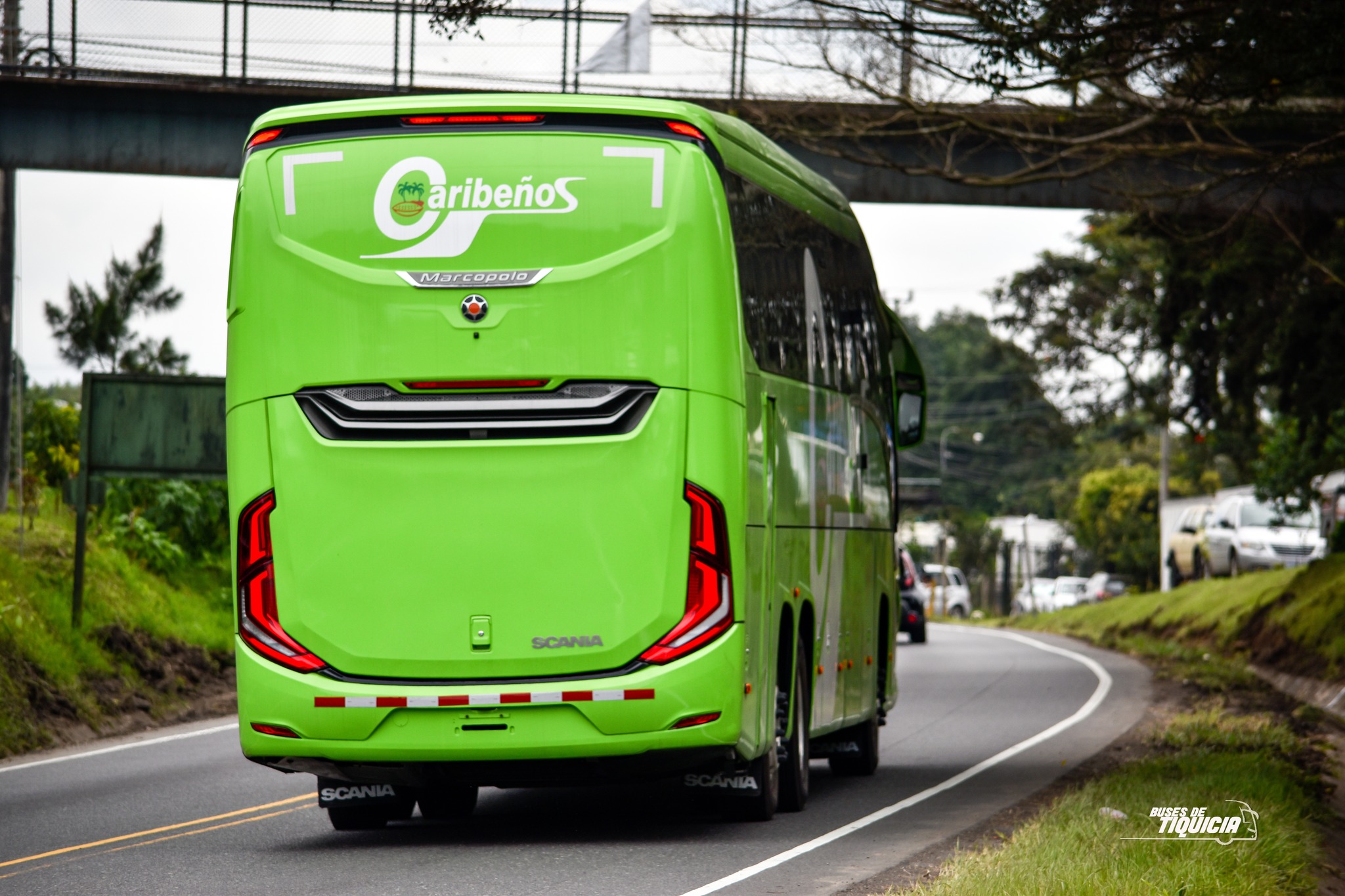 Buses de Tiquicia | Heredia