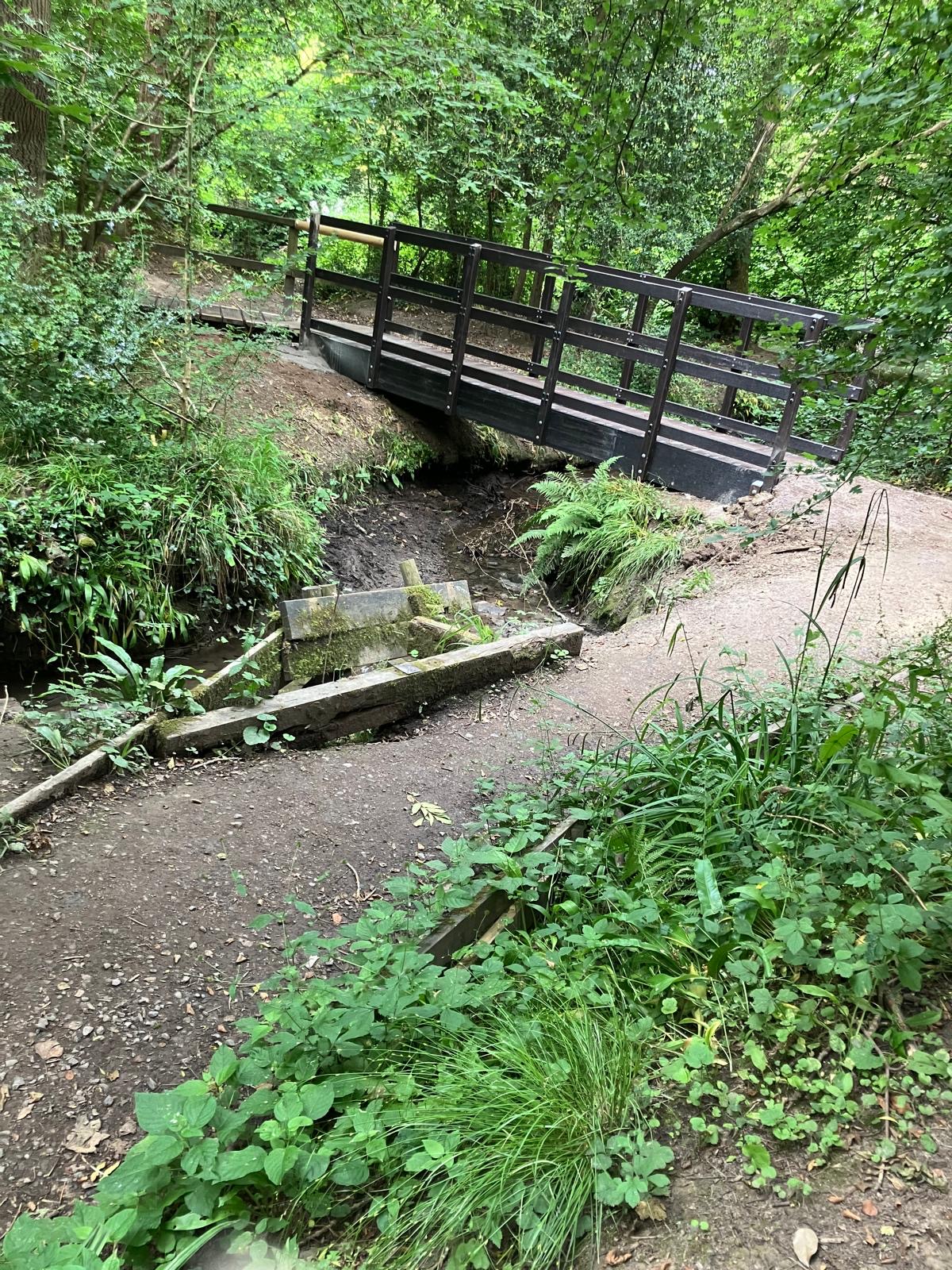 Friends of Lincombe Barn Park and Woods | Bristol