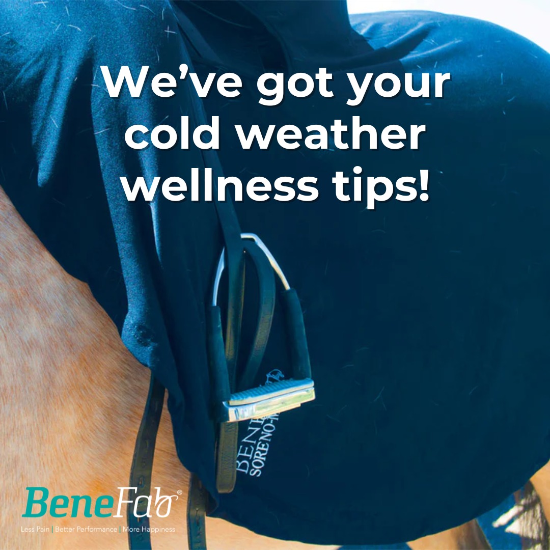 Benefab - Winter is coming, but your horse doesn't have to struggle ...