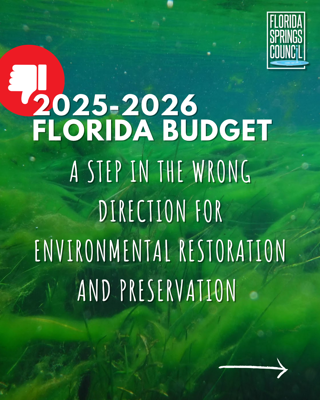 Florida Springs Council