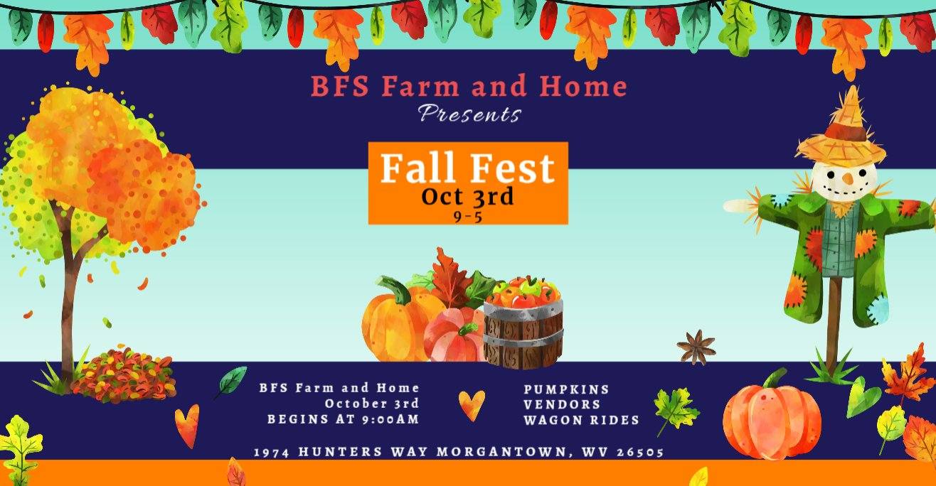 Fall Fest 2026