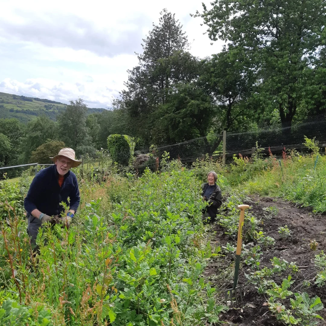 Forus Tree | Hebden Bridge
