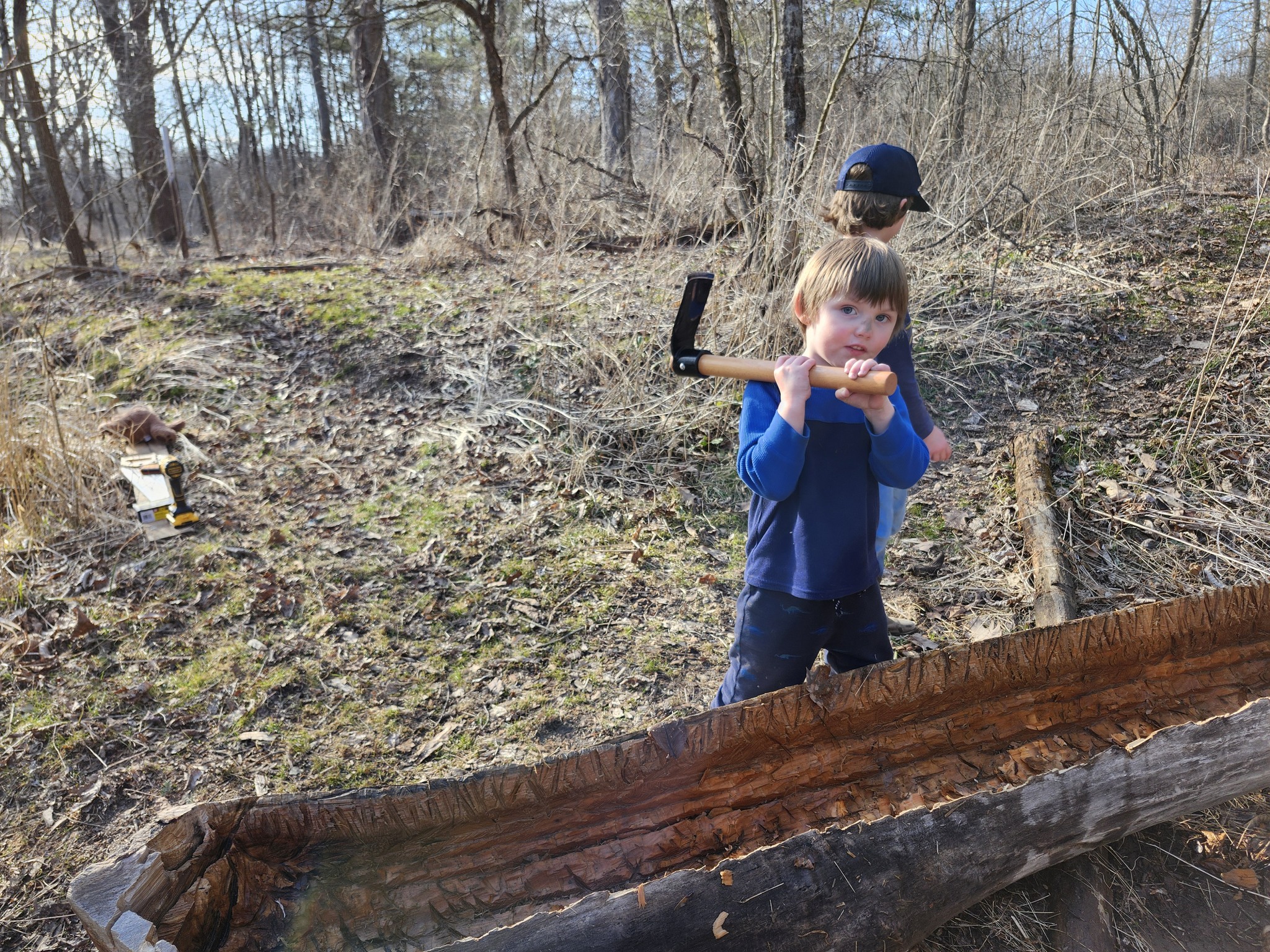 Strong Roots Organic Farm | Woodward PA