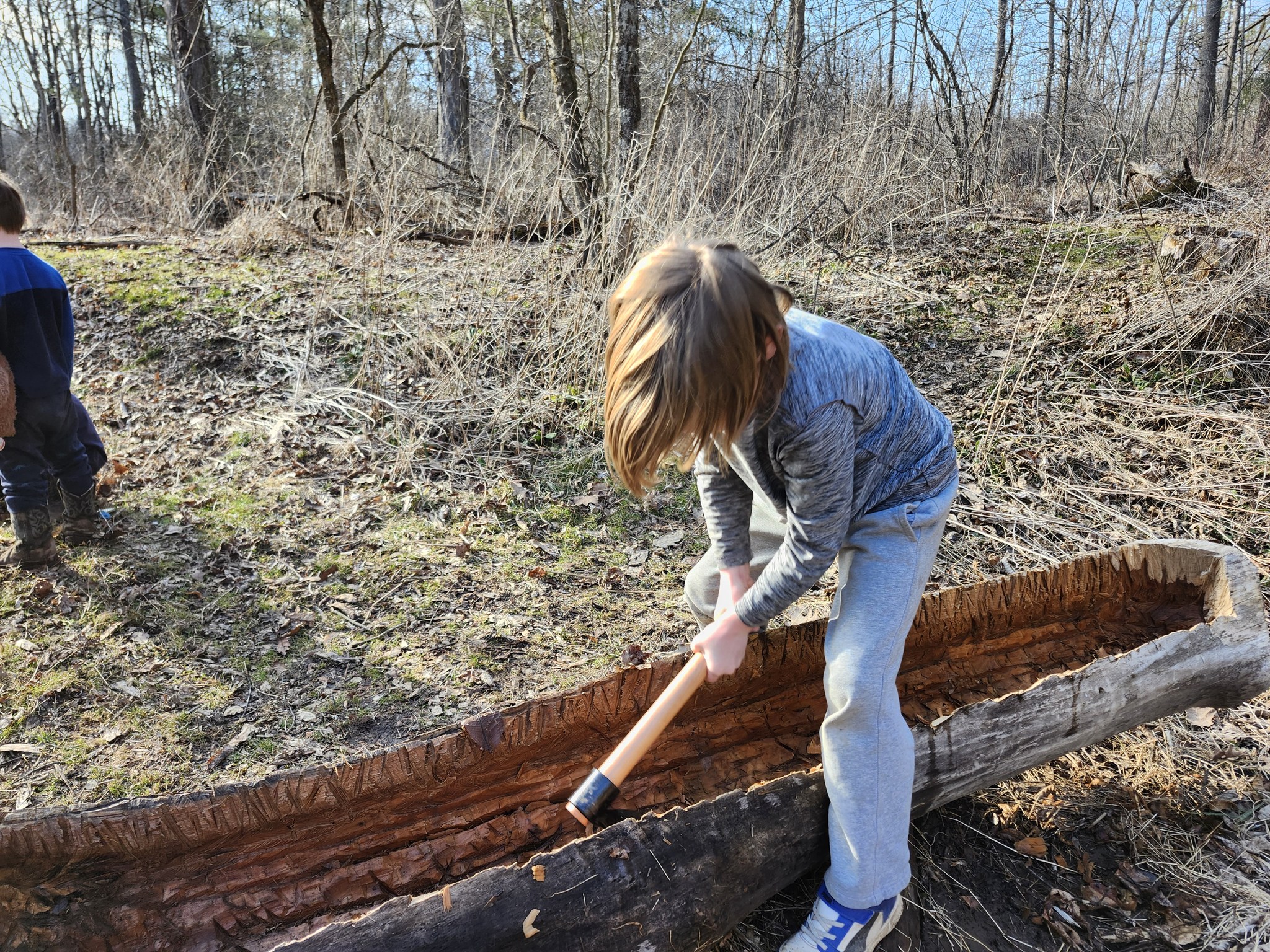 Strong Roots Organic Farm | Woodward PA