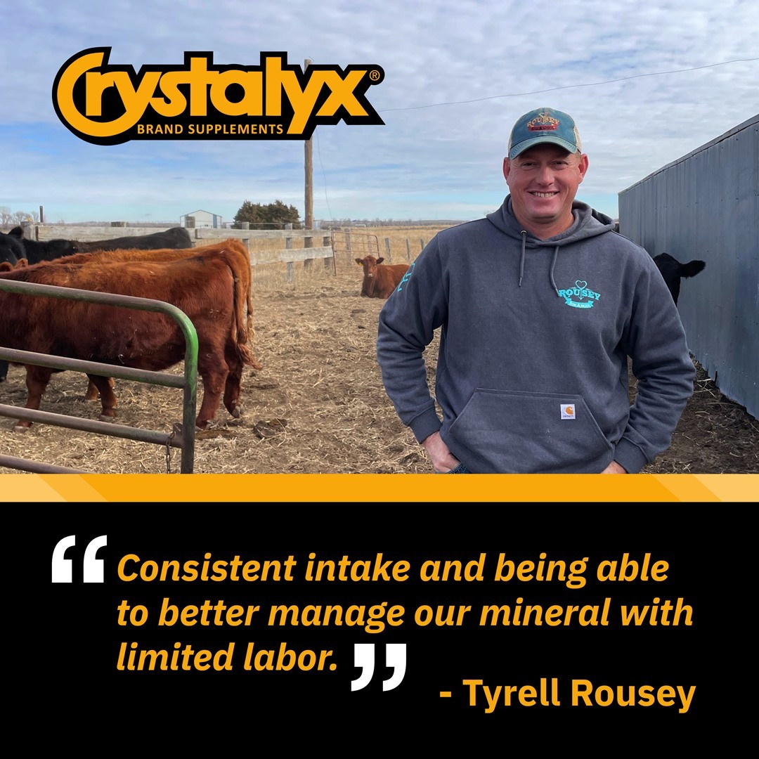 Hanson - A Proven Approach to Herd Nutrition! At Rousey SimAngus ...