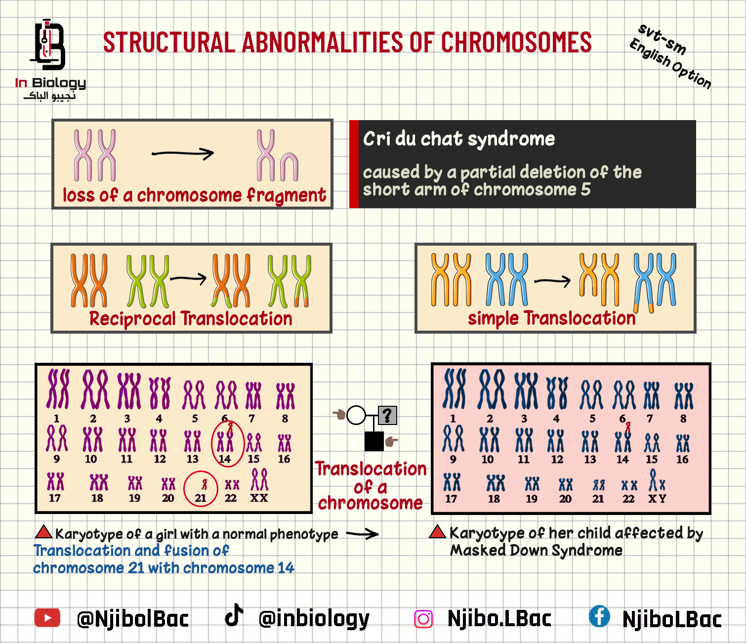 نجيبو - #Bac_english_option #خيار_انجليزية Human genetics >Structural ...