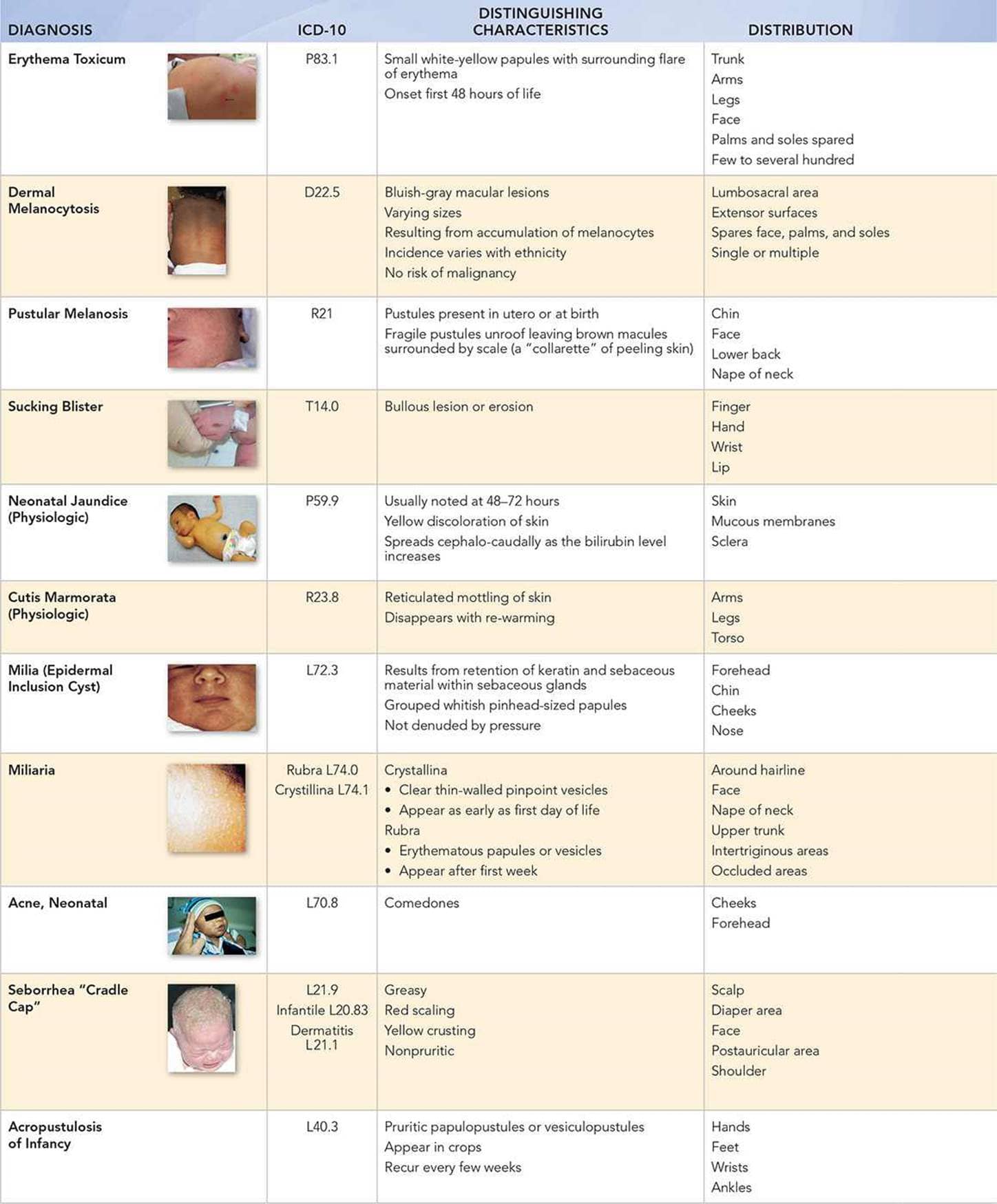 Dr.Naser-Alkabir-Pediatric Notes - common cases in clinical exam : 1 ...