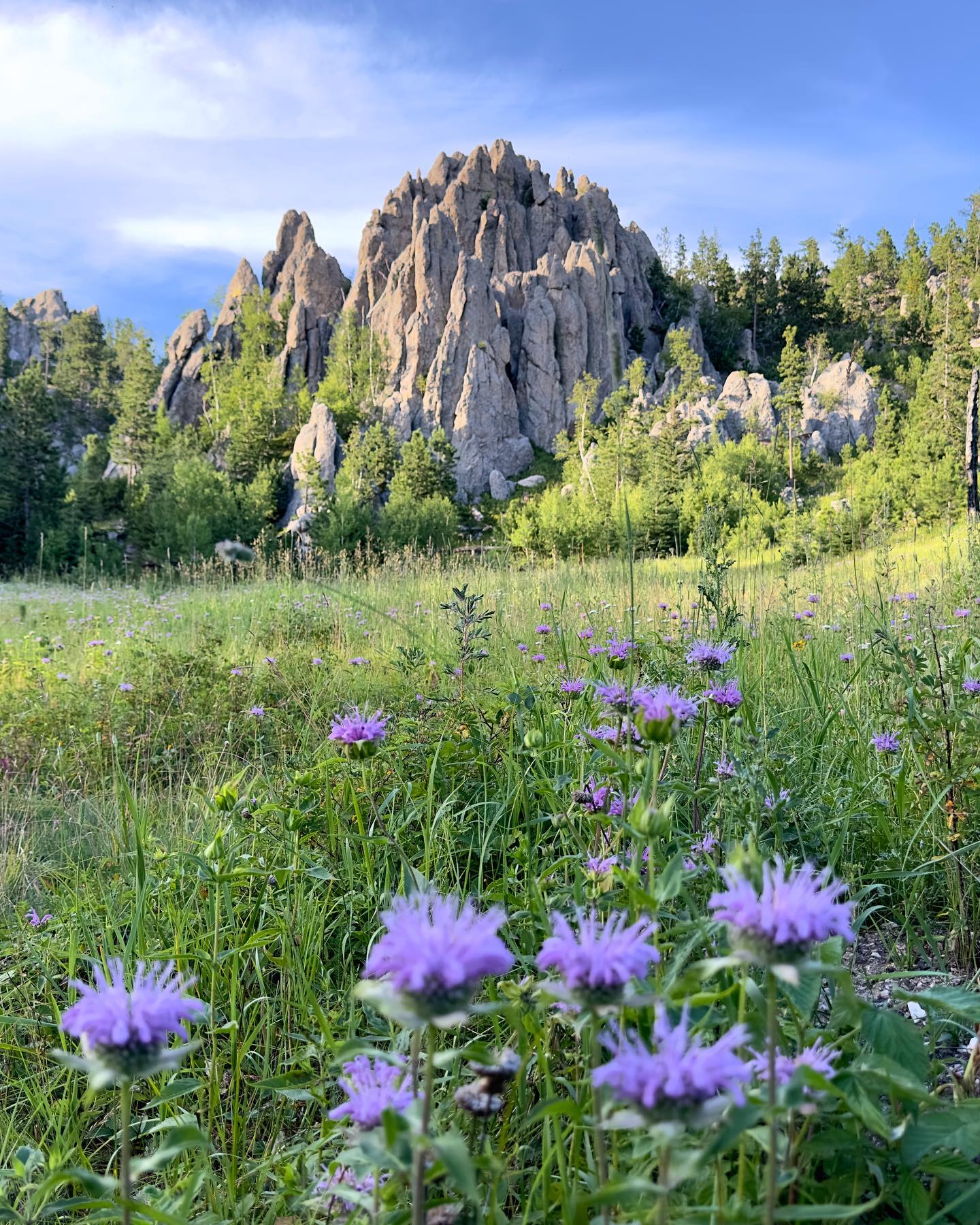 AllTrails - If you thought South Dakota was a flyover state, think ...