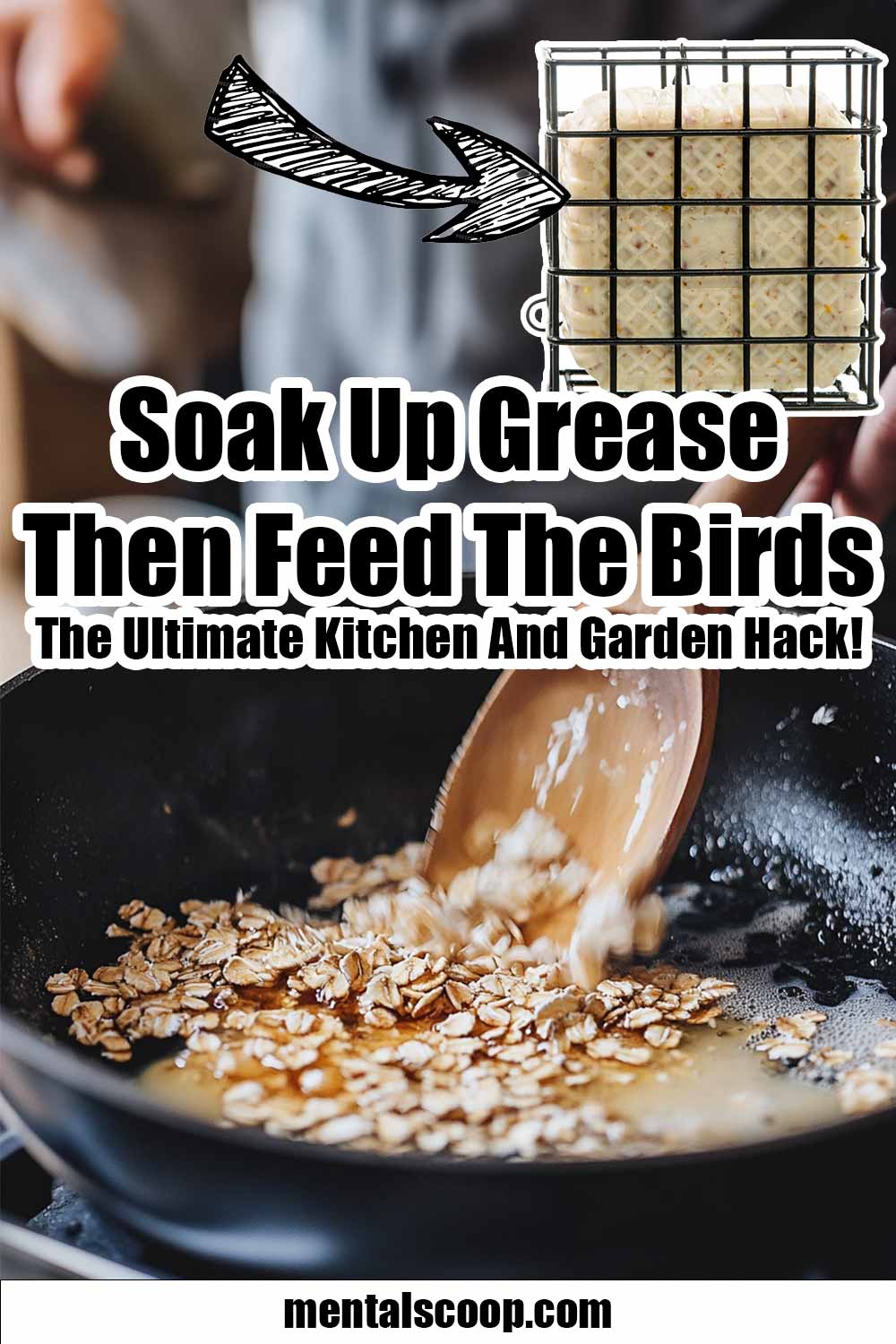 What to Feed Birds from the Kitchen: Safe & Nutritious Options
