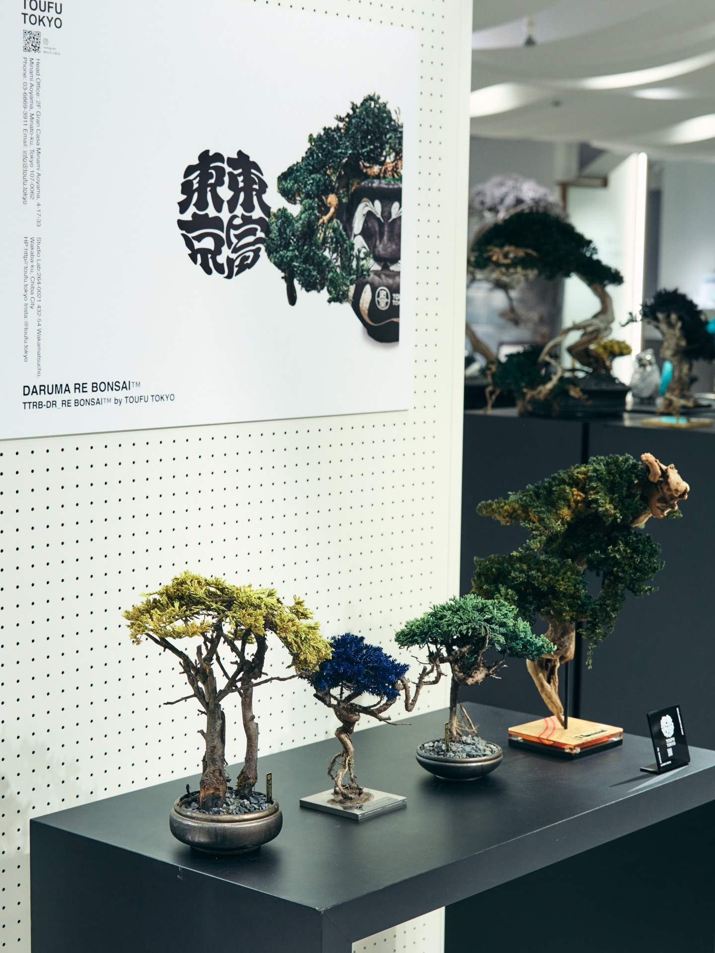 TOUFU TOKYO re盆栽アーティスト 鈴木良夫が手がける逸品✨ 阪急うめだ