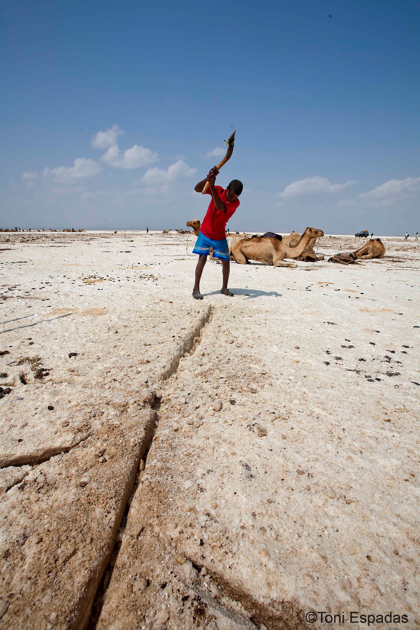 Rift - Los afar: señores del desierto del Danakil, un pueblo de ...