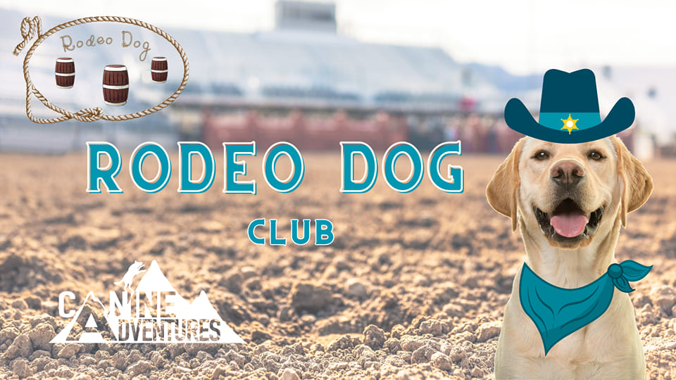 Canine Adventures Rodeo Dog | Facebook