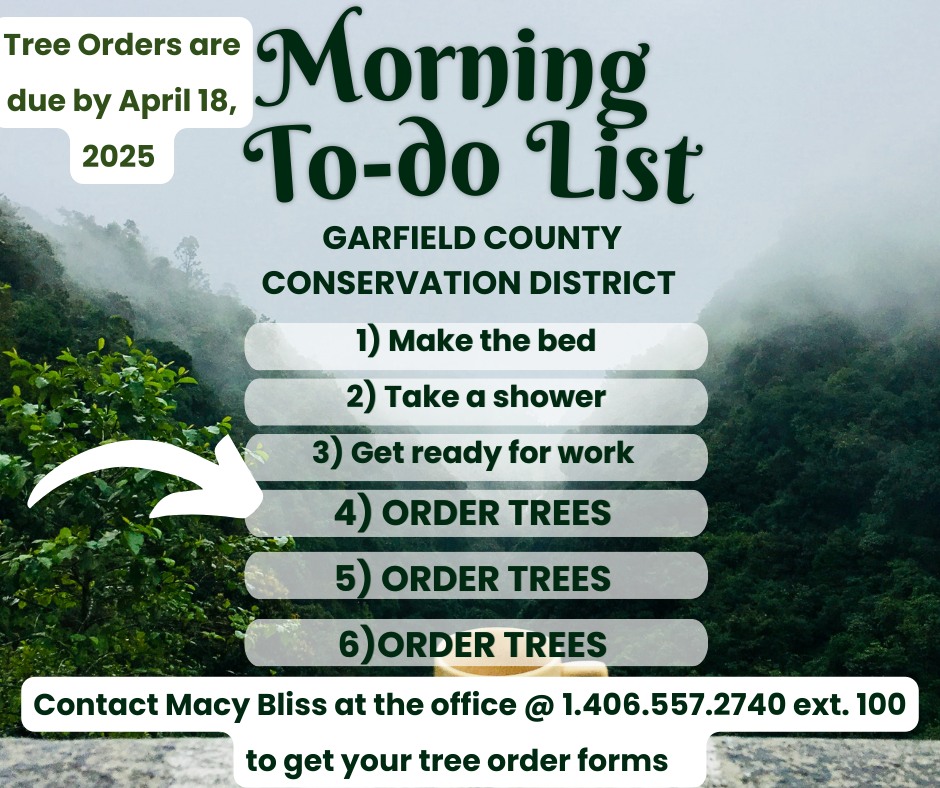 Garfield - 📝 What is on your morning to do list? 📝 I know what should ...