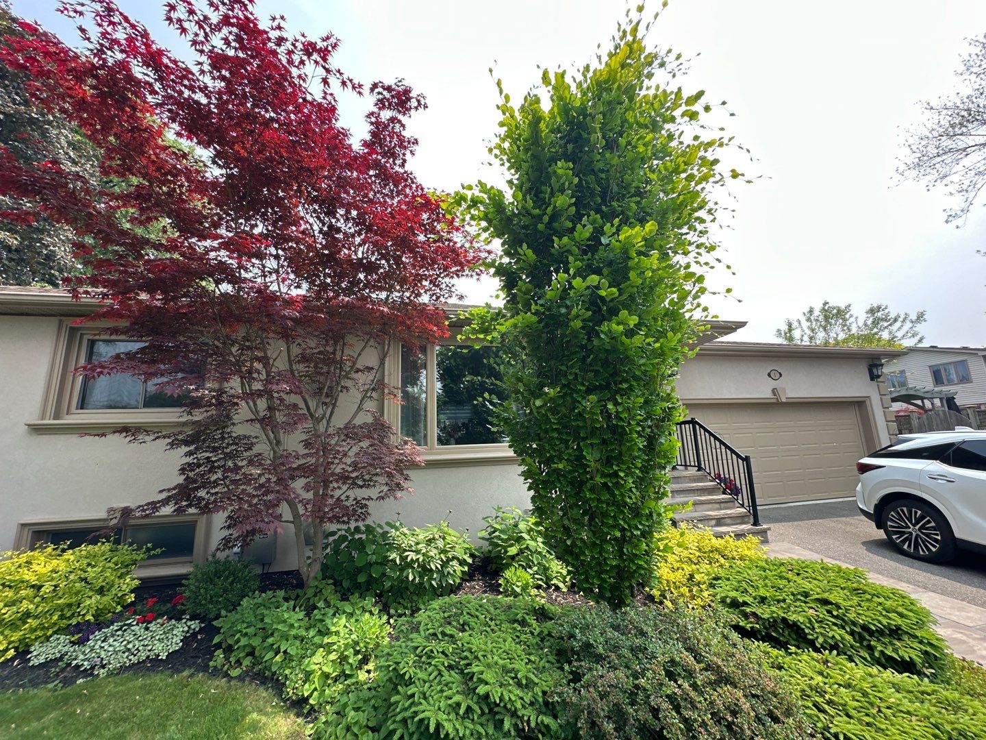 Vista Tree Management | Toronto ON