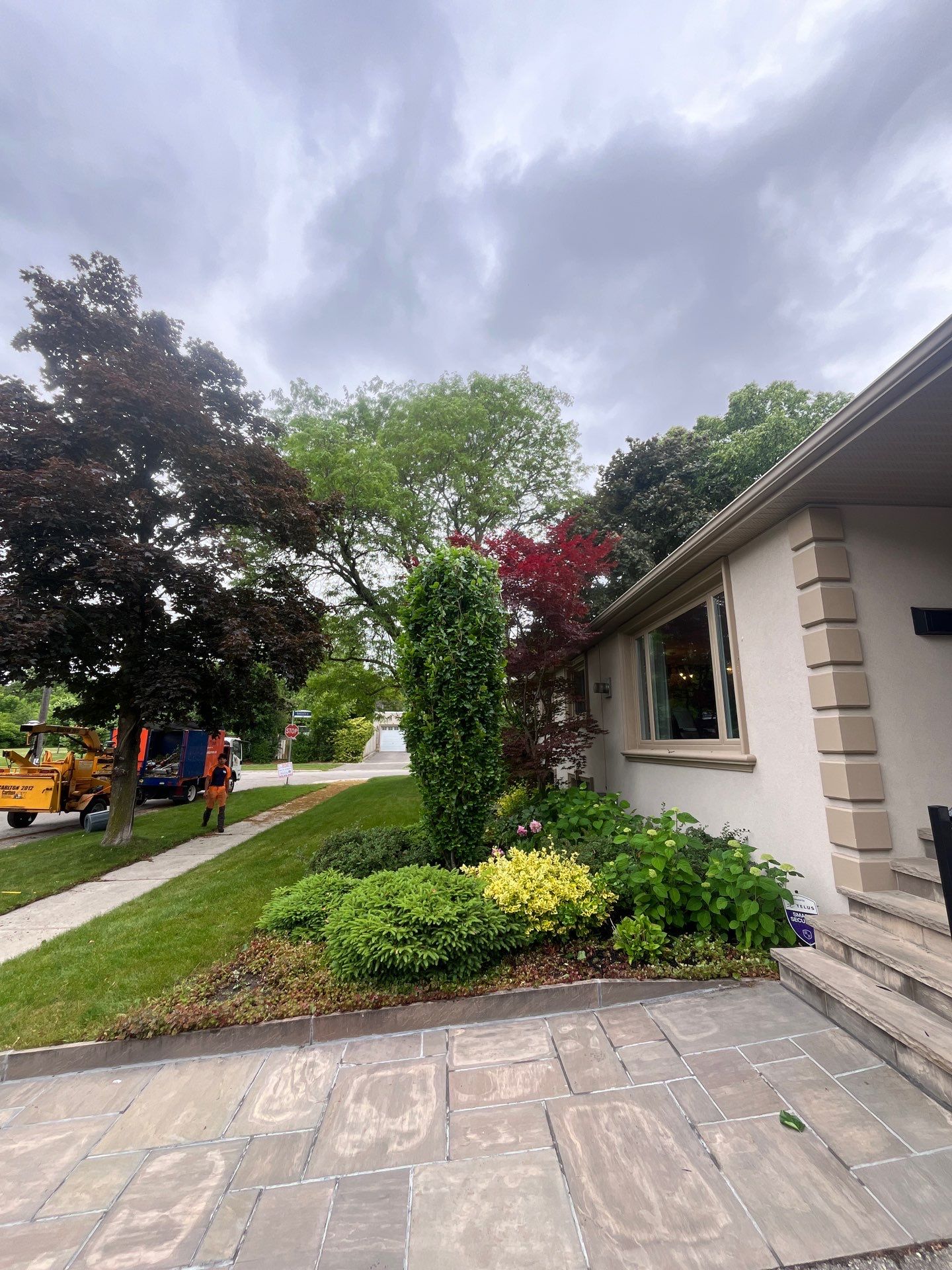 Vista Tree Management | Toronto ON