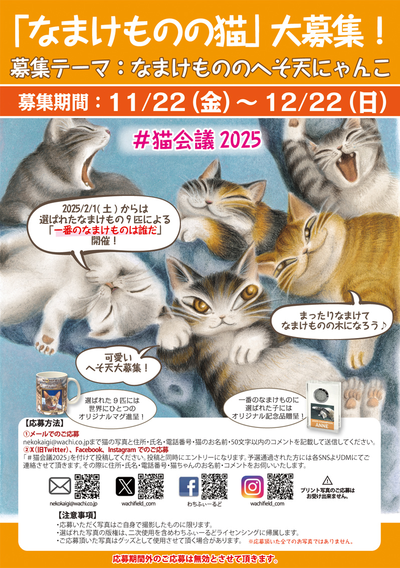 猫会議2025】 「なまけものの猫」大募集！ 募集テーマ：なまけものの